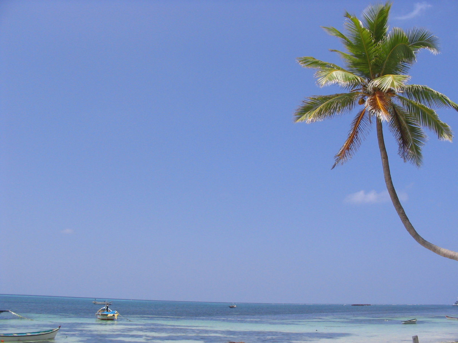 Taken in lakshadweep in feb 2005.