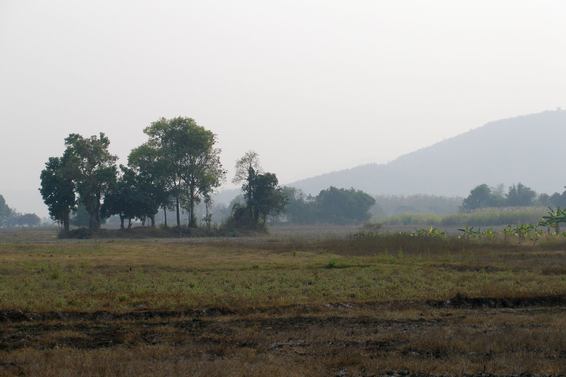 A journey through Thailand's arid Sukhothai province. Vast dry …