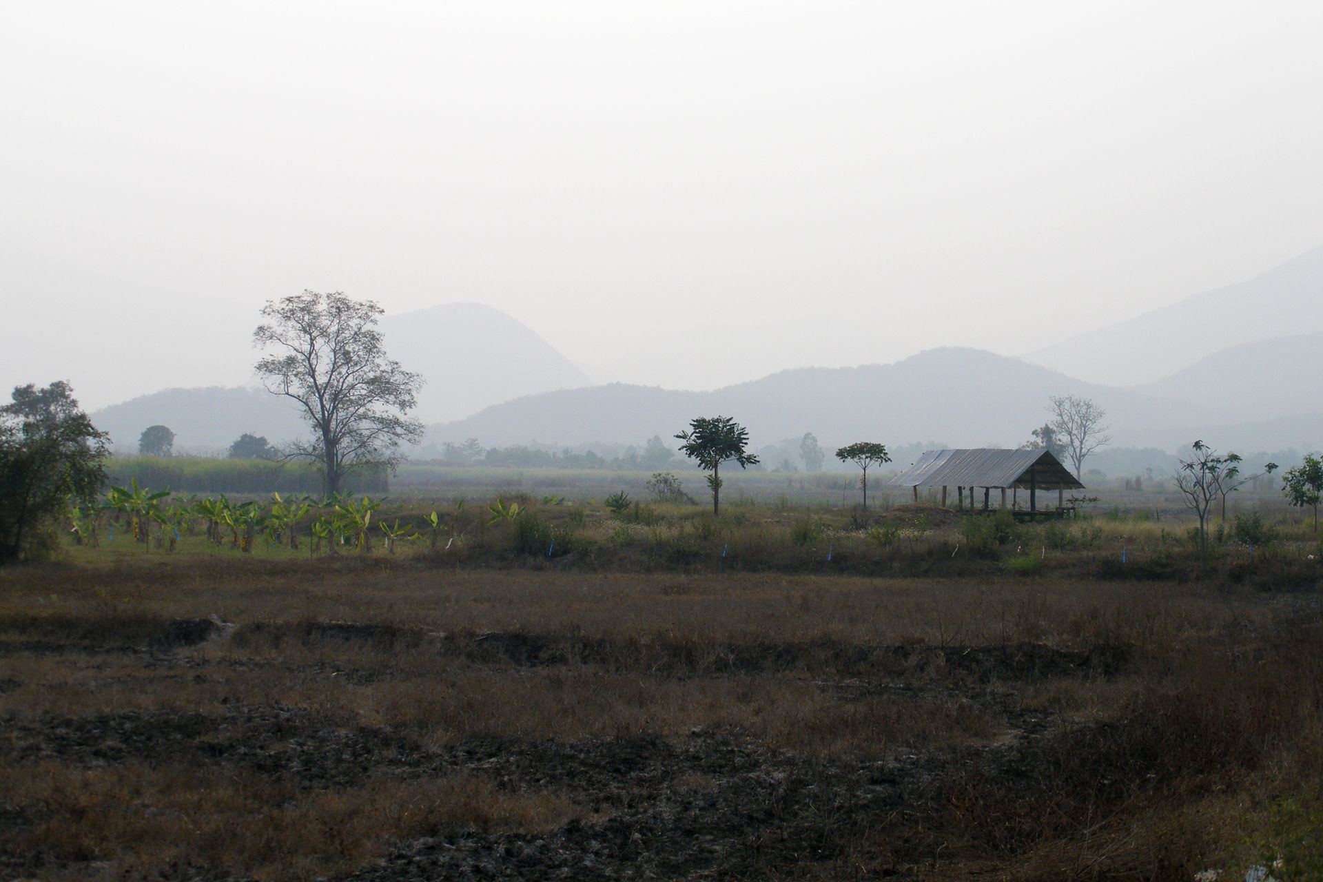 A journey through Thailand's arid Sukhothai province. Vast dry …