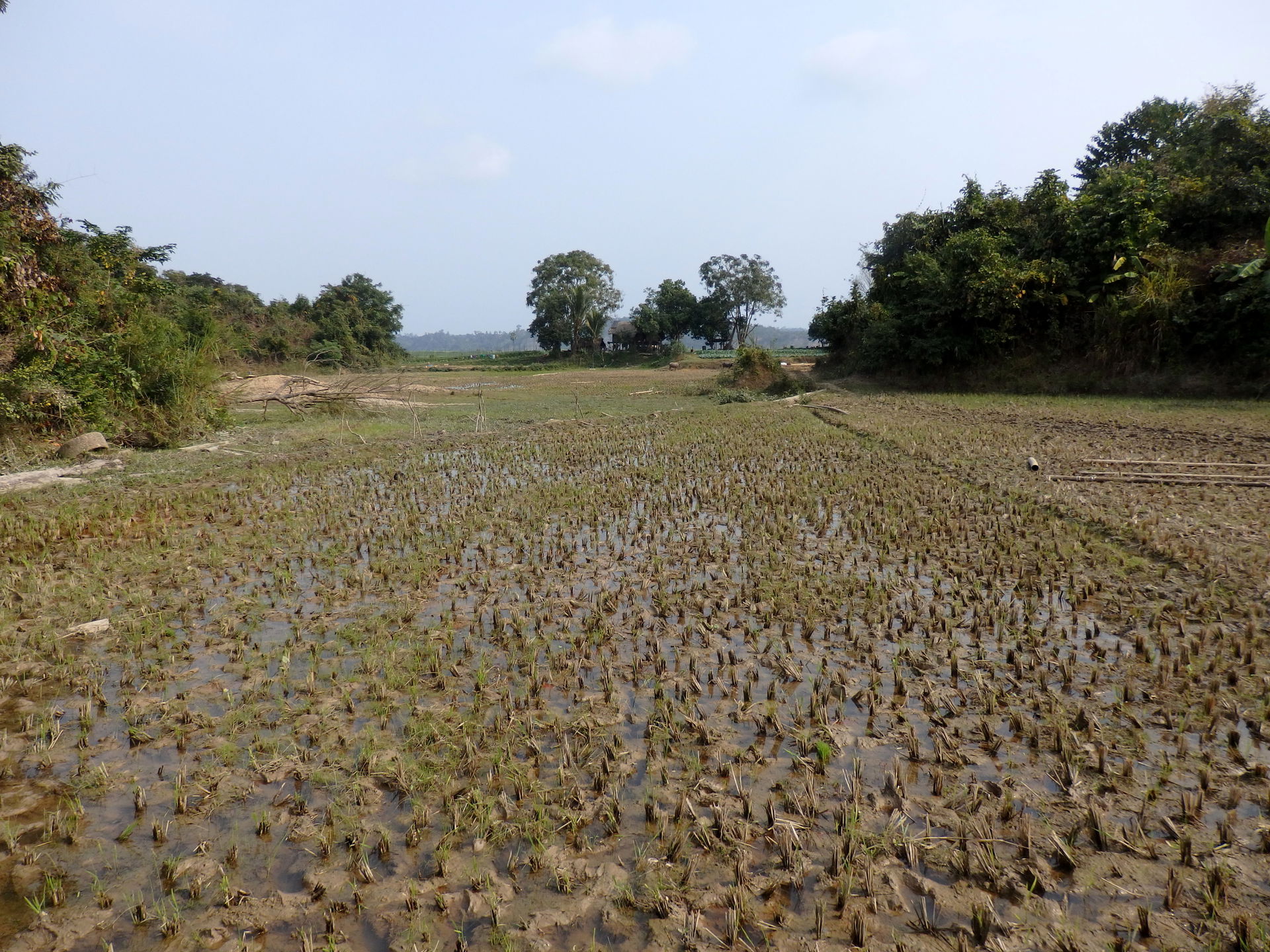 Mawlaik, Myanmar (Burma)