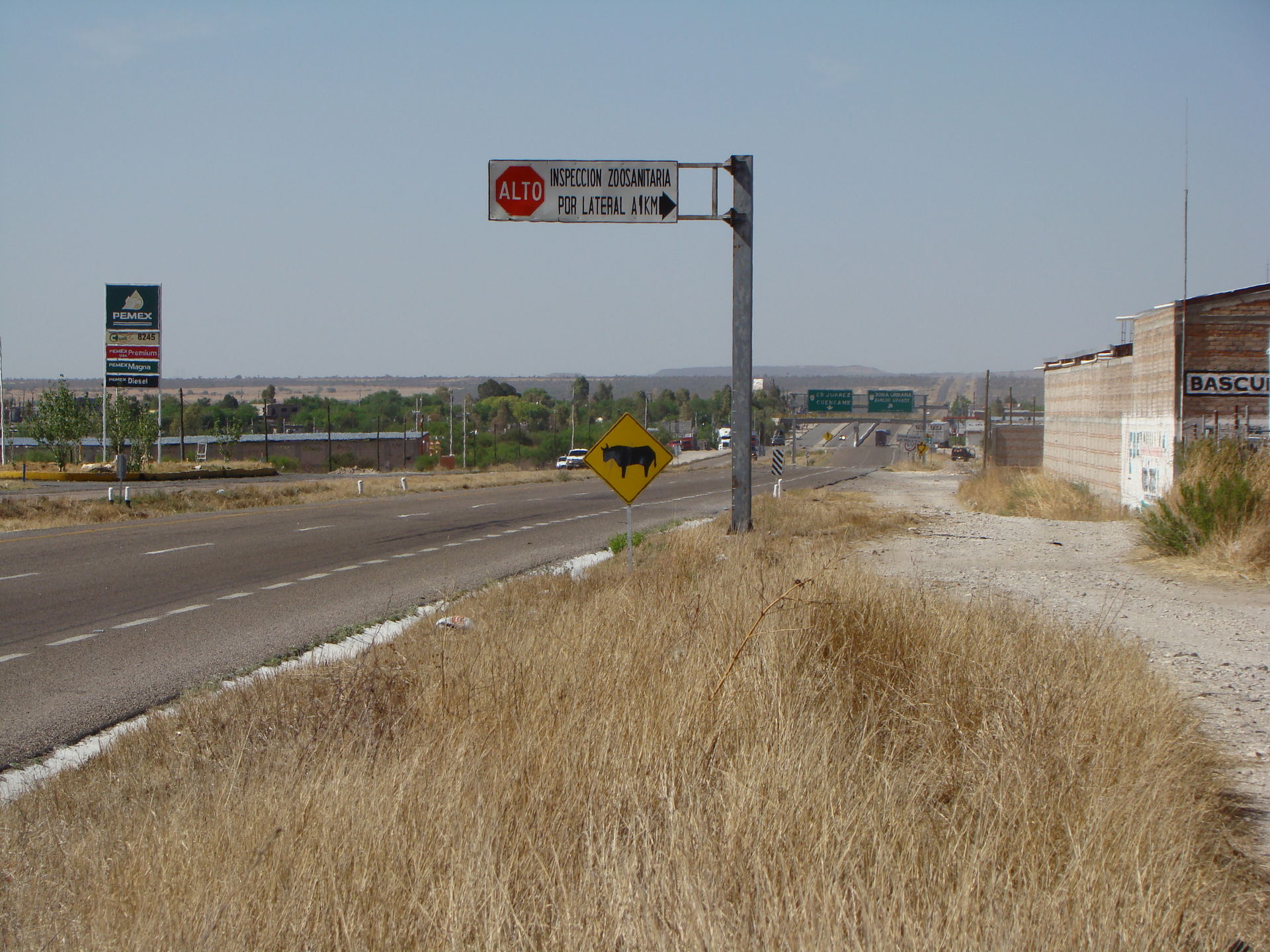 Cruce del Trópico de Cáncer y la Carr. 49, Fresnillo-Cuencamé