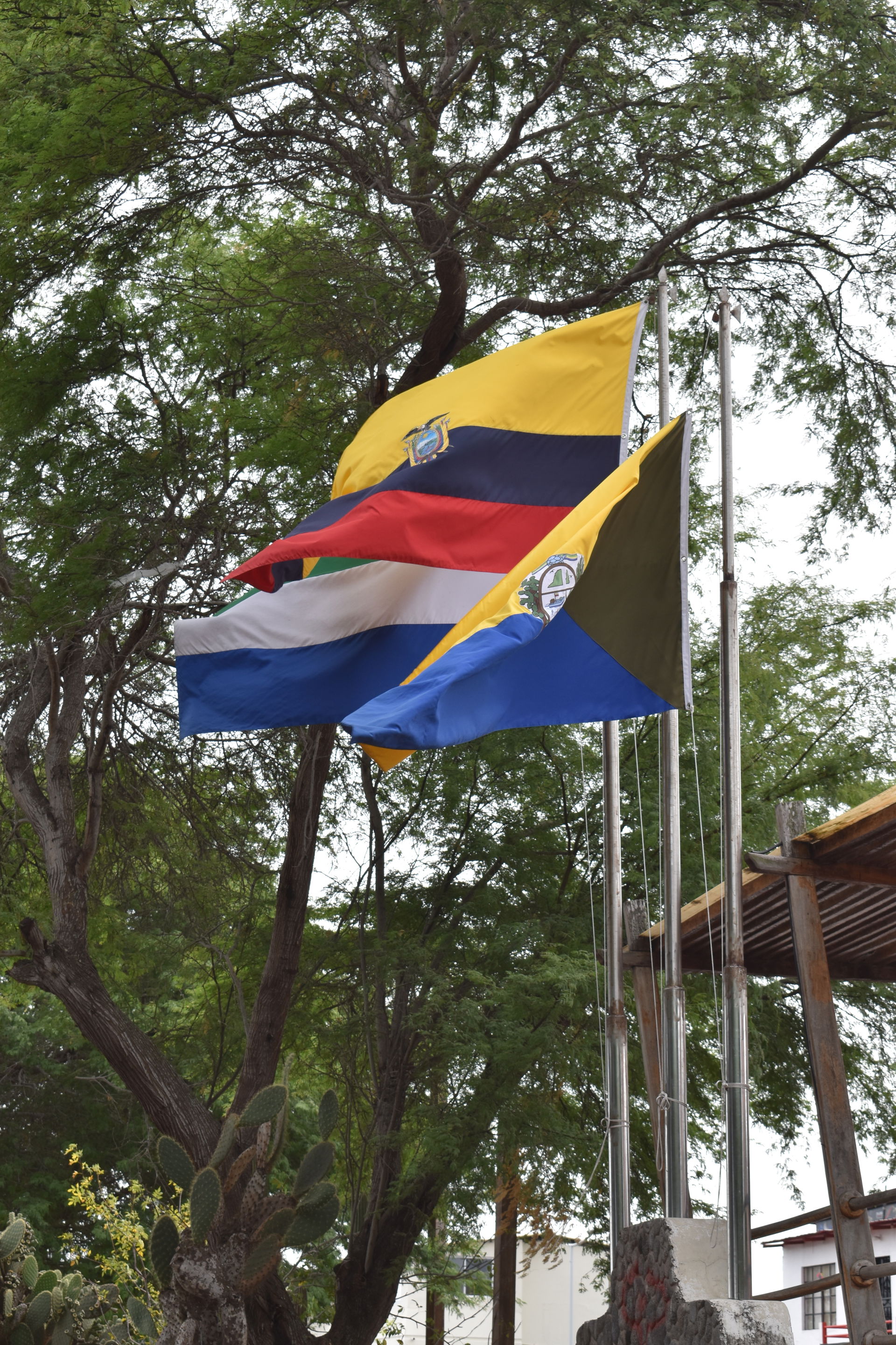 Flags of the provincial capital of Puerto Baquerizo Moreno, the…