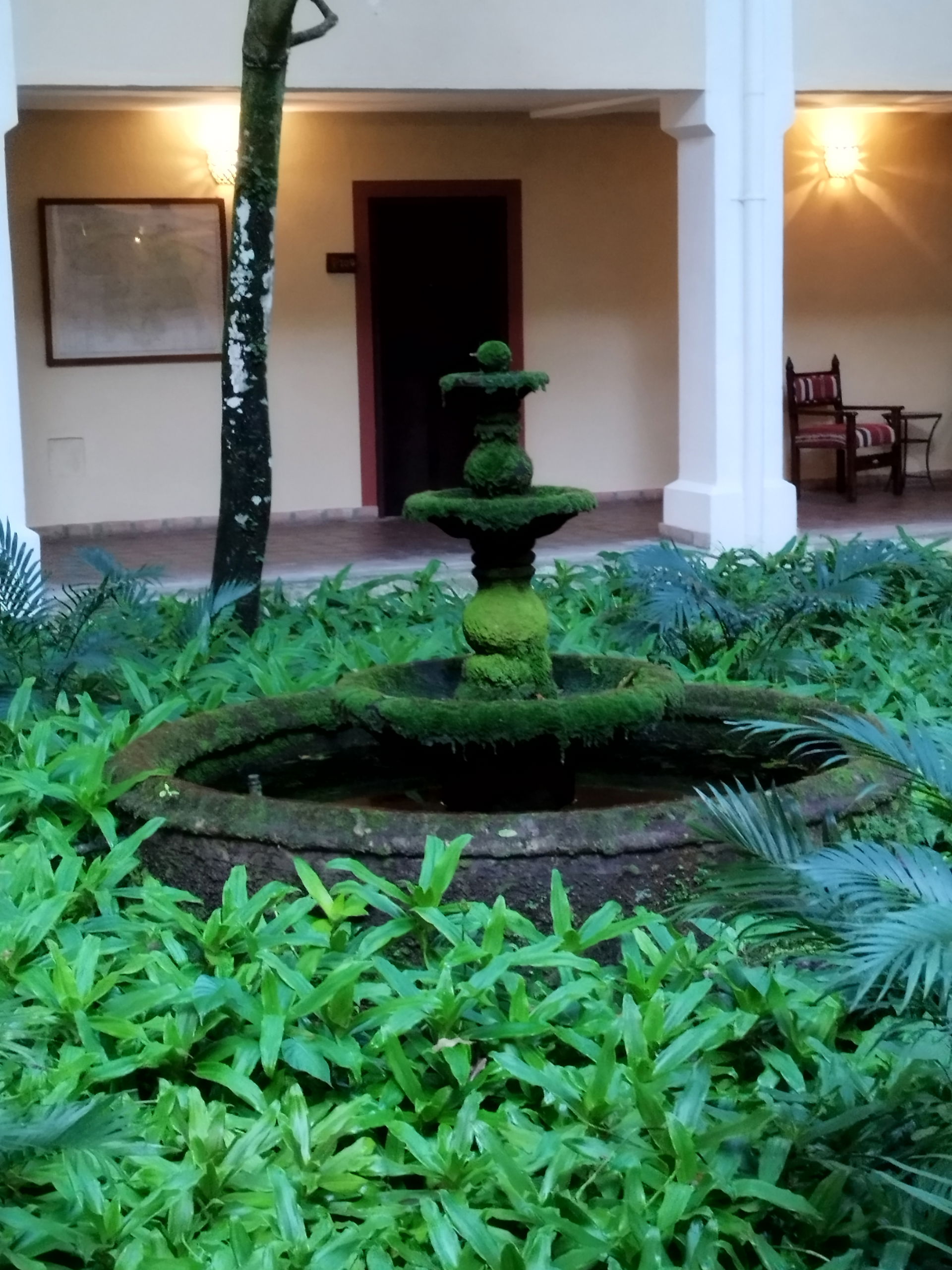 Fontagro Estado Yaracuy Venezuela 5