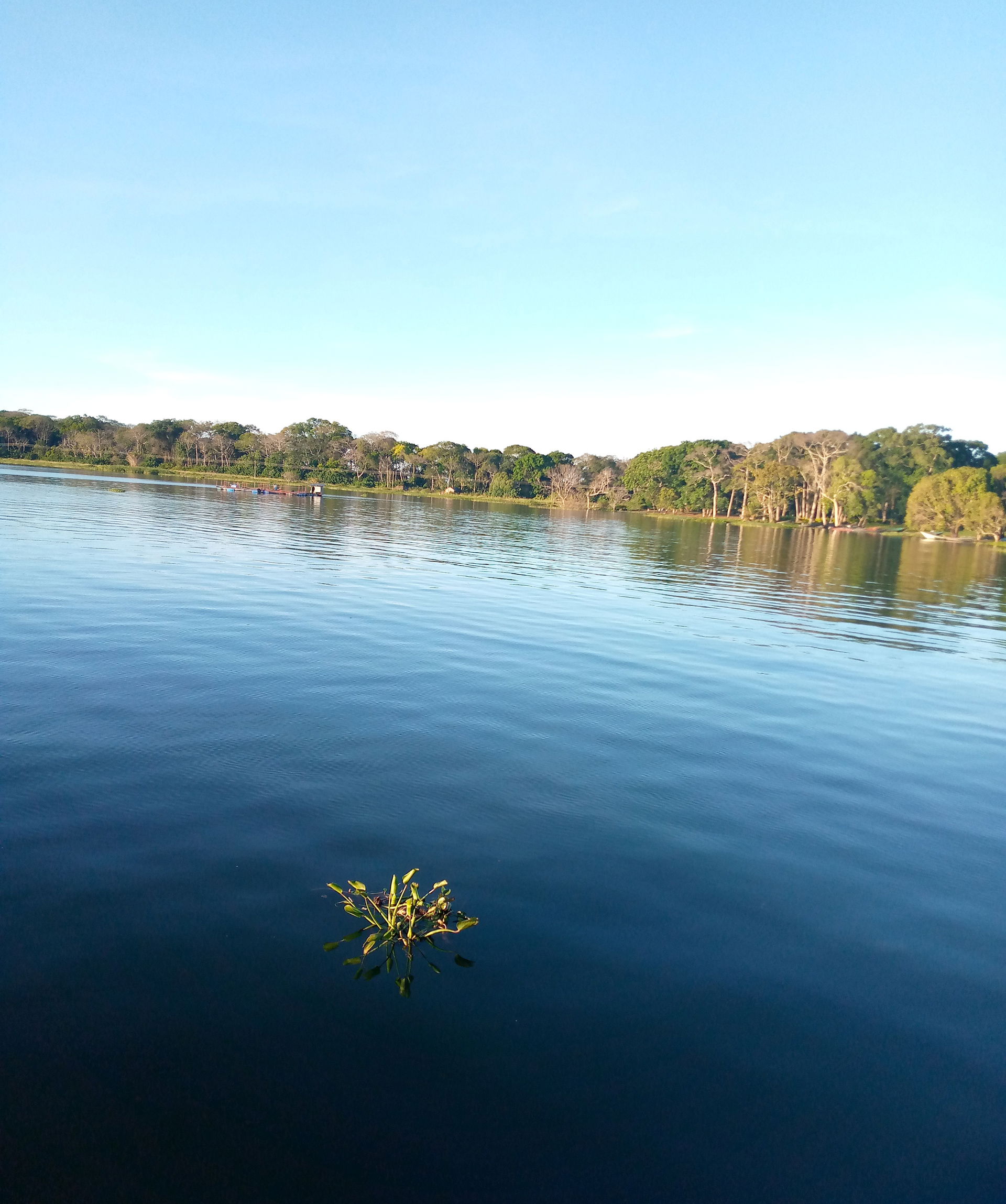 the shores of lake Victoria under the late evening sunset