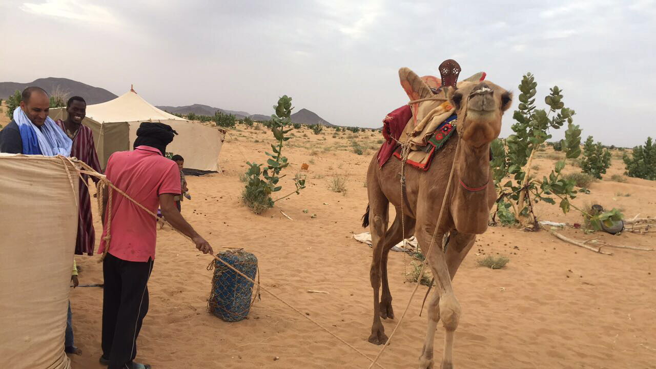 This is an image with the theme "Africa on the Move or Transpor…