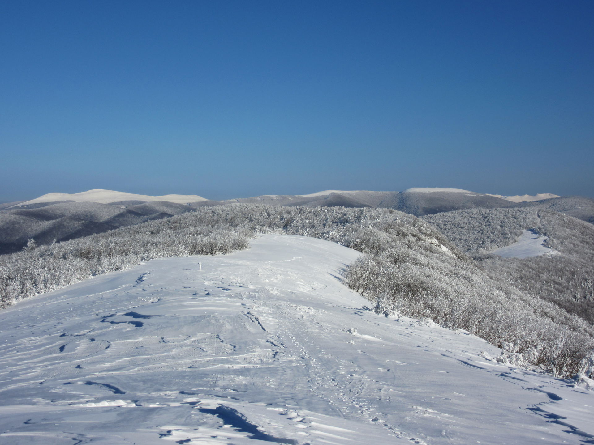 This is a a picture of a Natura 2000 protected area with ID