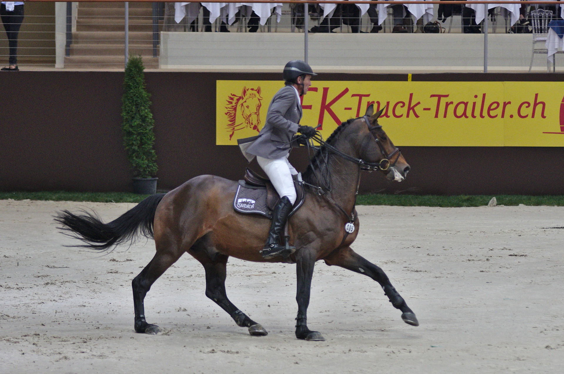 54eme CHI de Genève - 20141212 - Ludger Beerbaum et Chaman