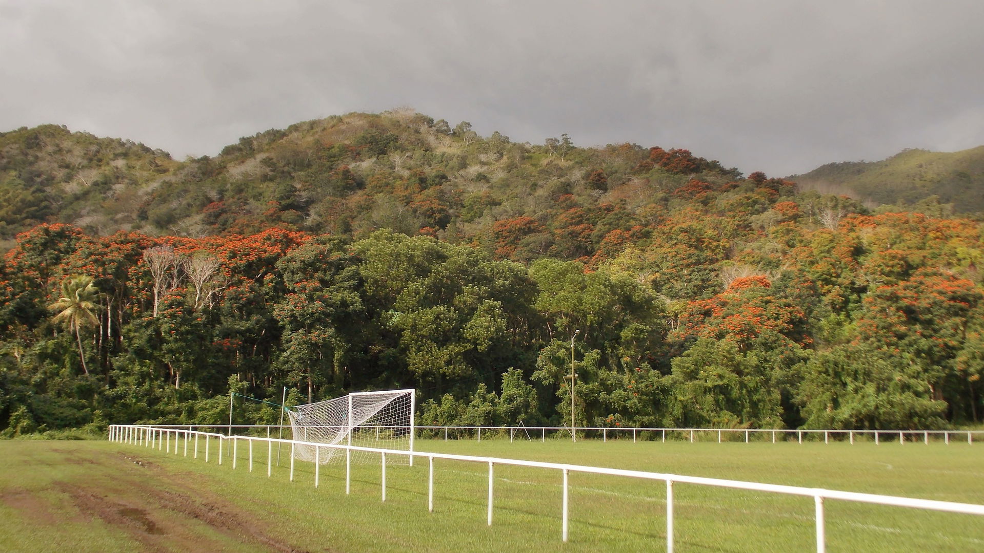 Début de la floraison des arbres vu depuis le stade municipal d…