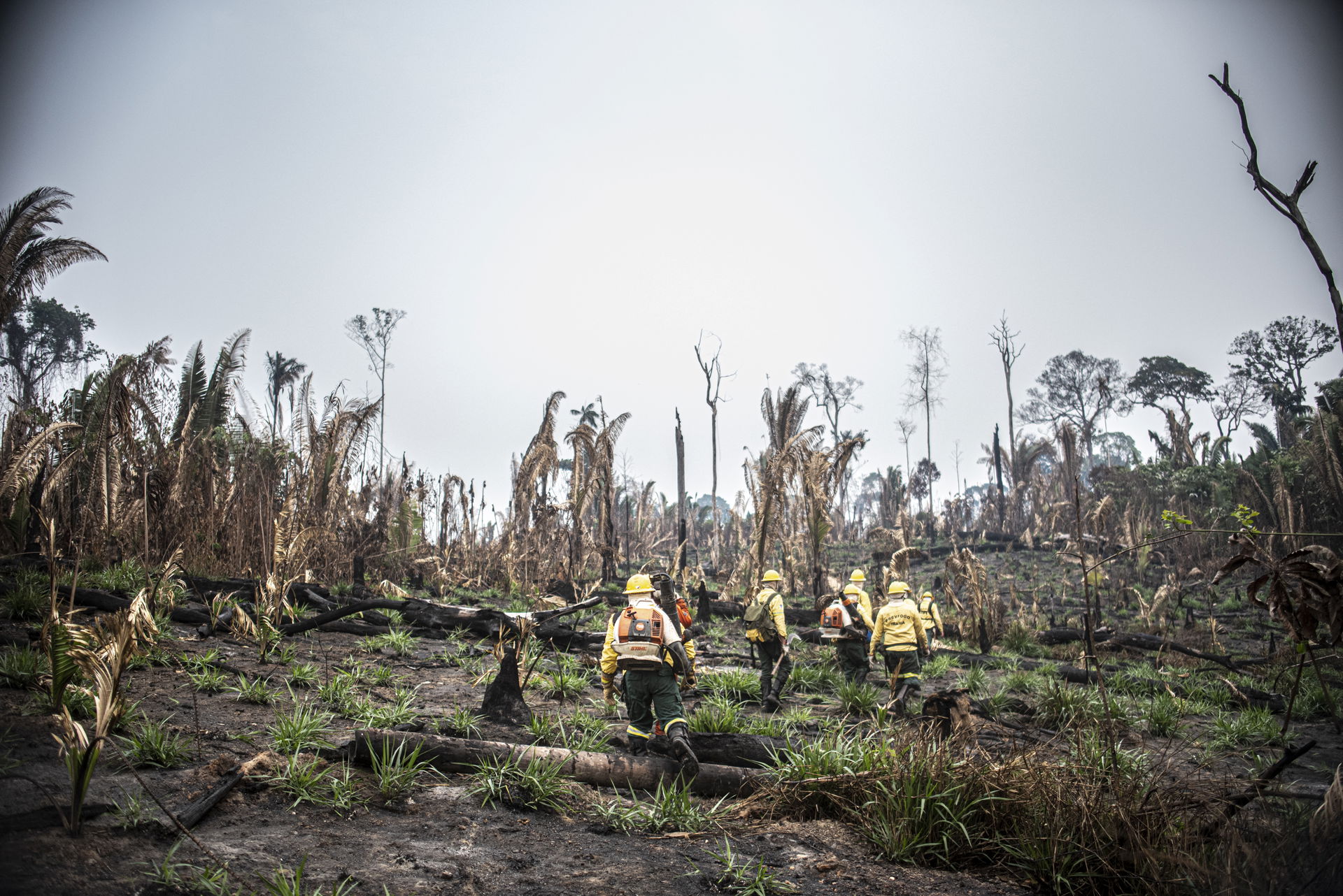 Ação do Prevfogo no município de Guajará-Mirim, em Rondônia, re…