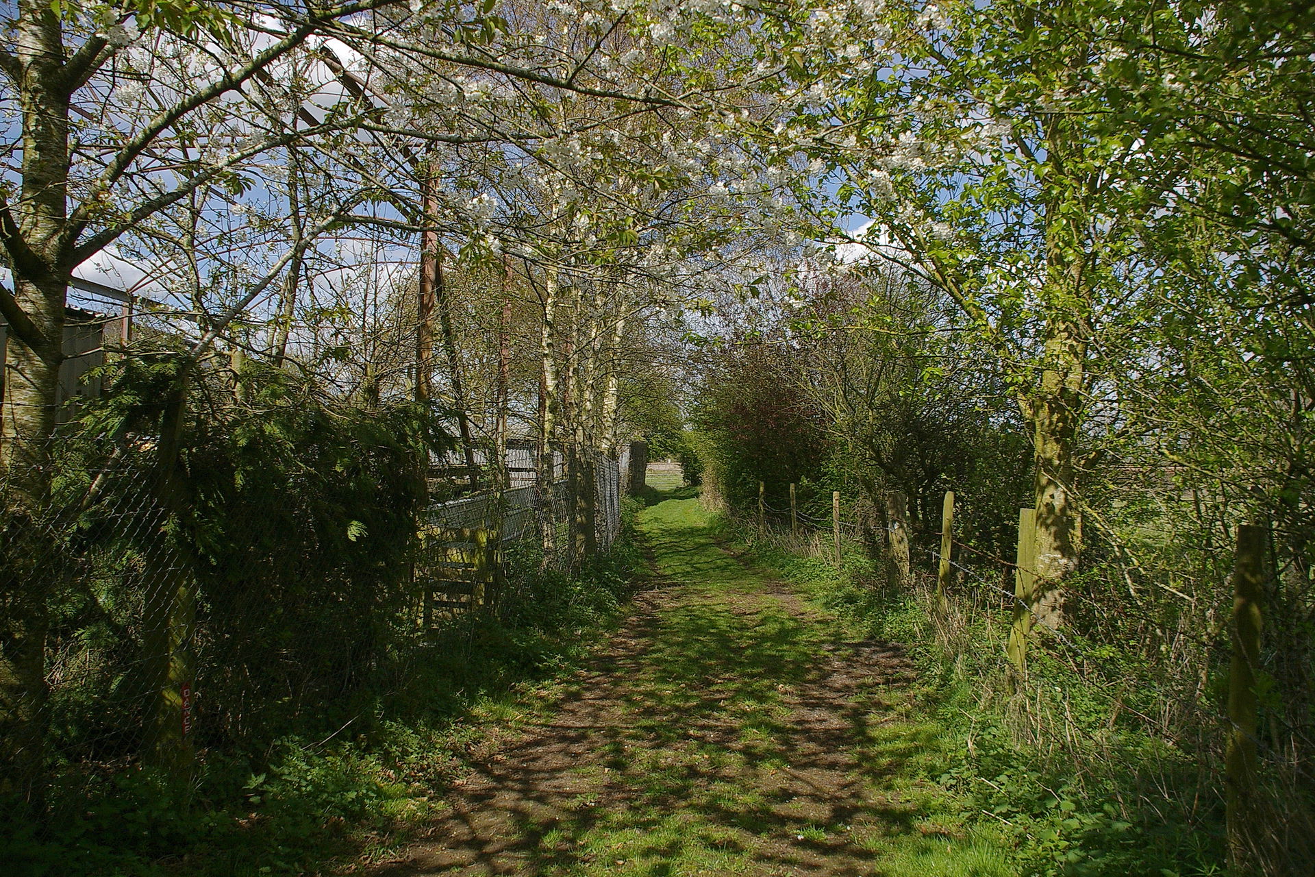 A little woodland footpath near Yate.