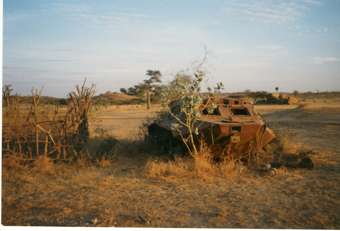 Barentu