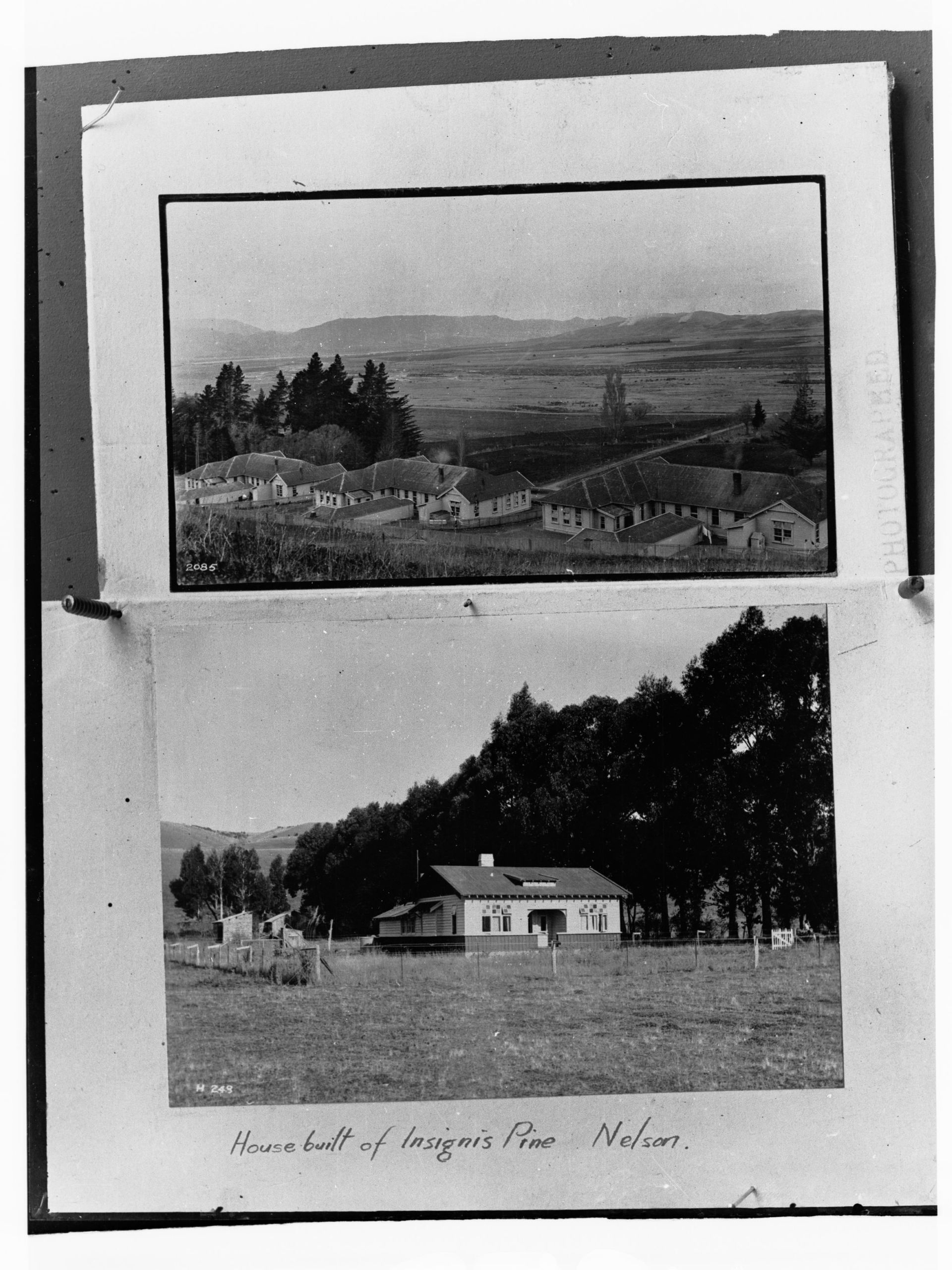 Nelson view 4