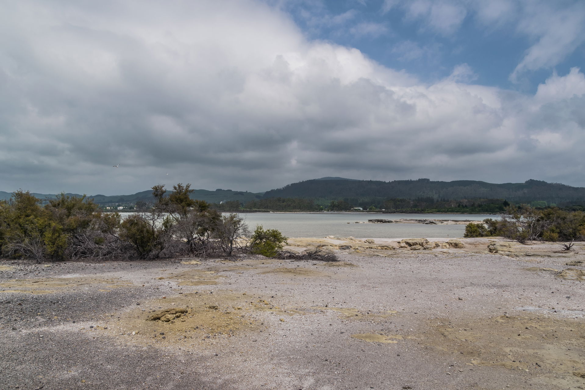 Lake Rotorua in Rotorua, Bay of Plenty Region, North Island of …