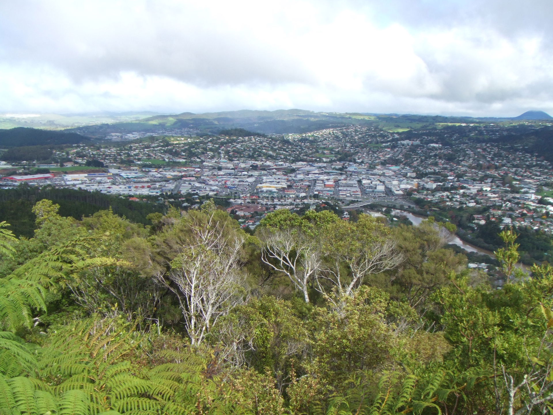 Whangarei view 2