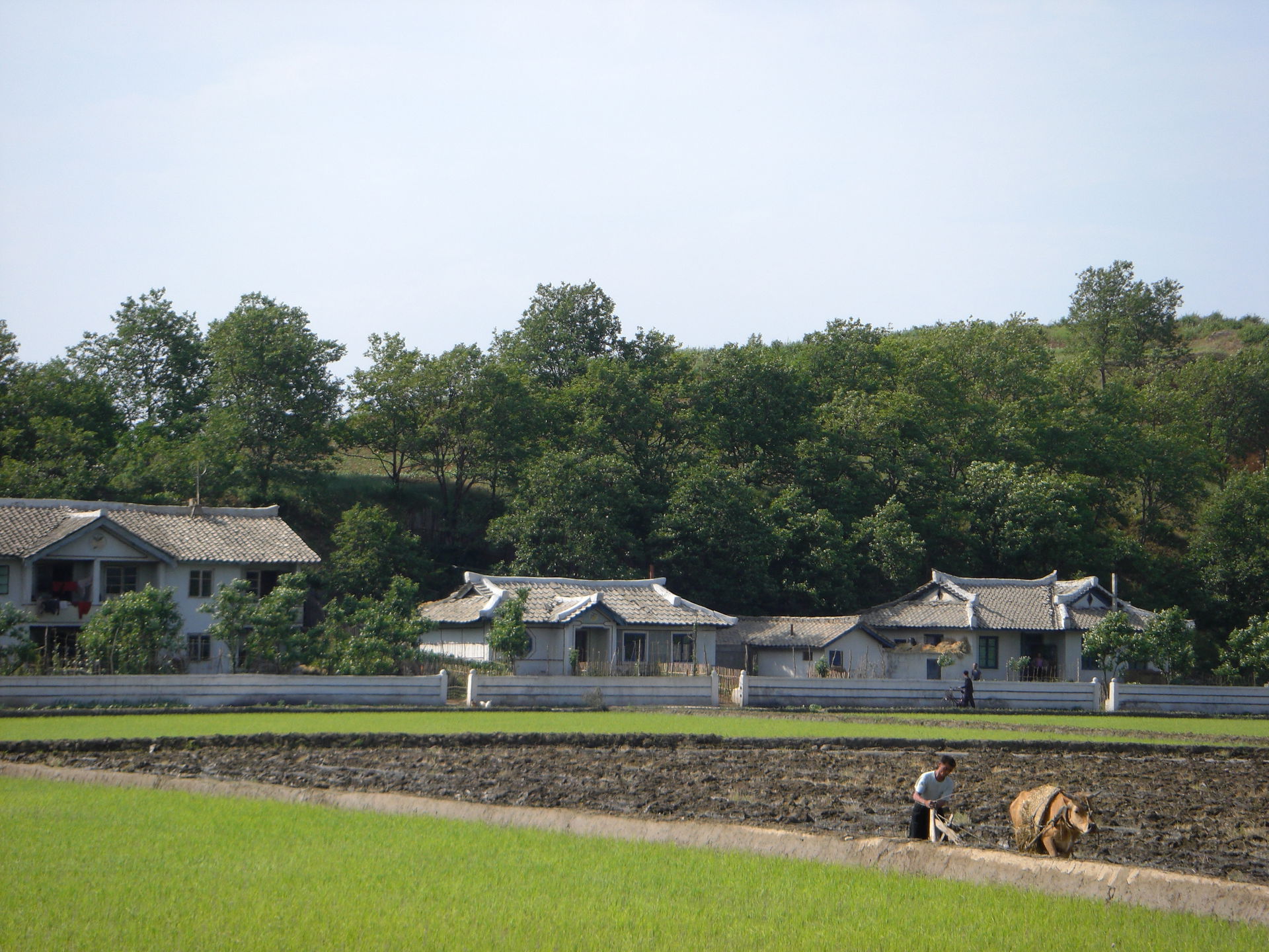 Chonsam Cooperative Farm. Anbyon County, North Korea.