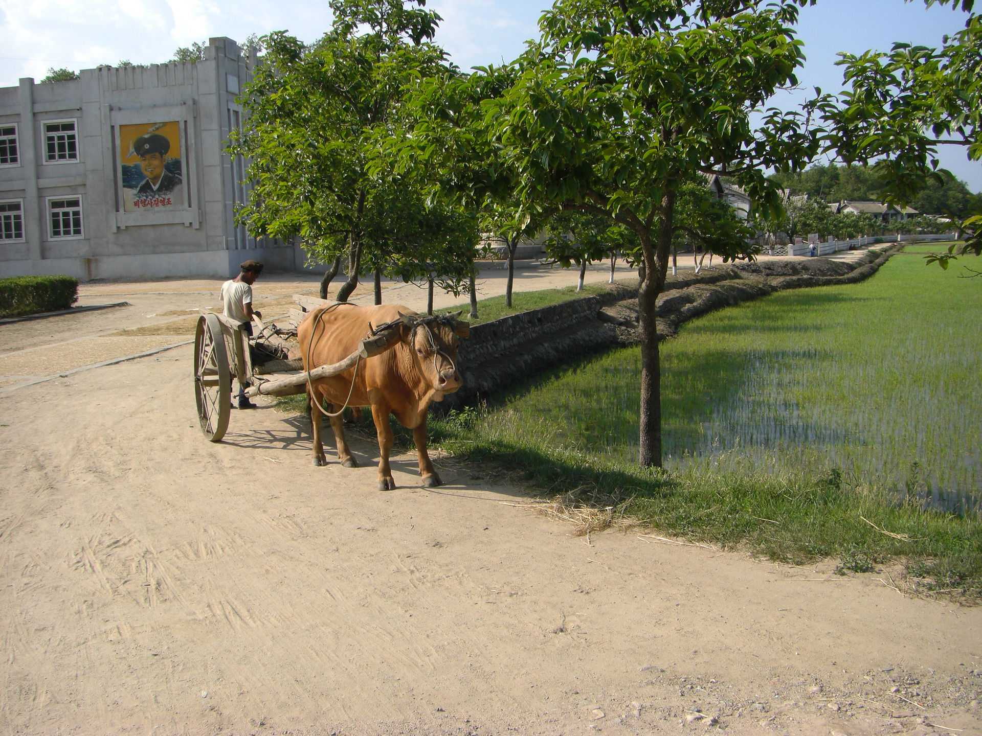 Chonsam Cooperative Farm. Anbyon County, North Korea.