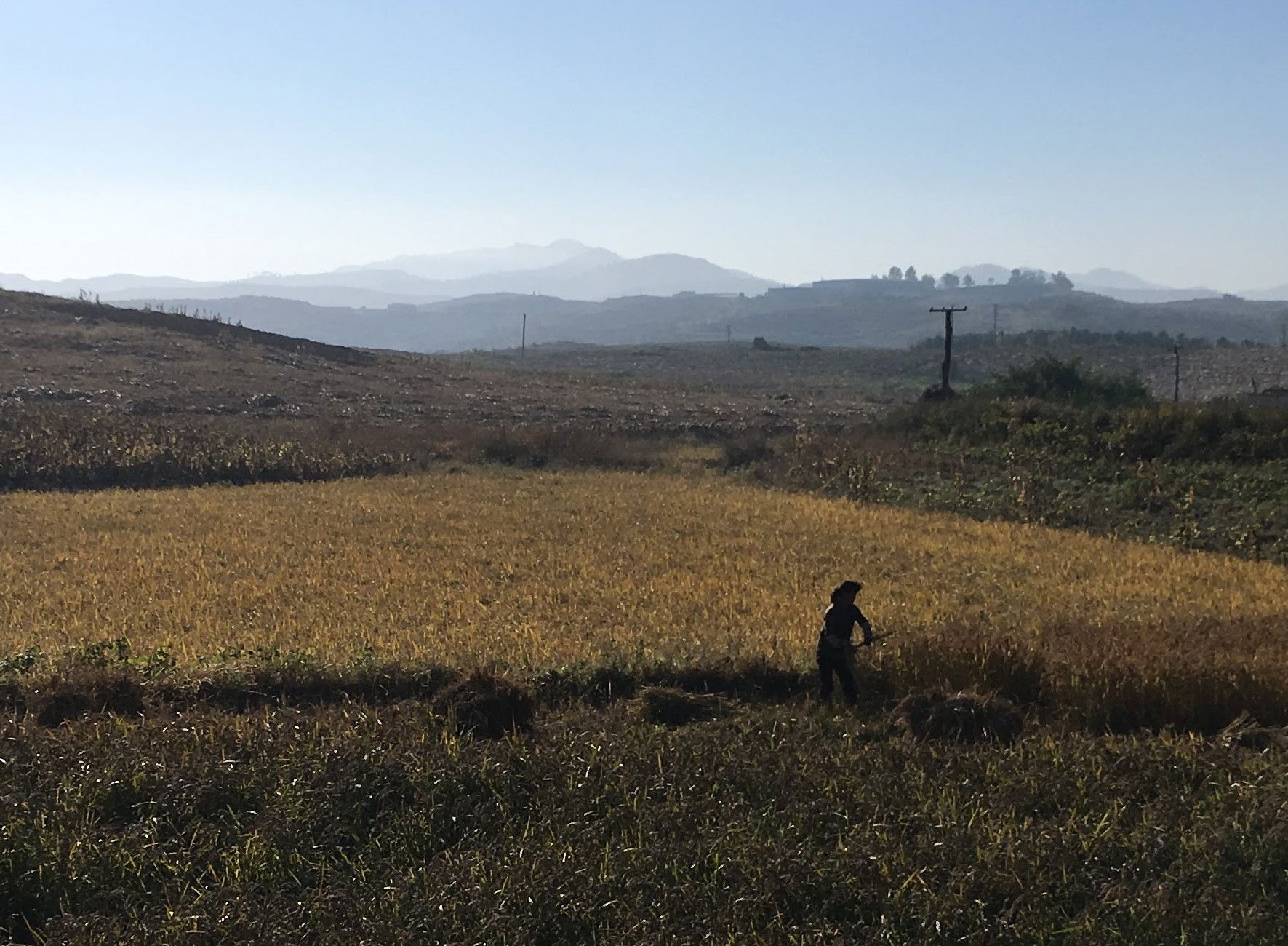 Farming near Anju, South Pyongan (view from the motorway).