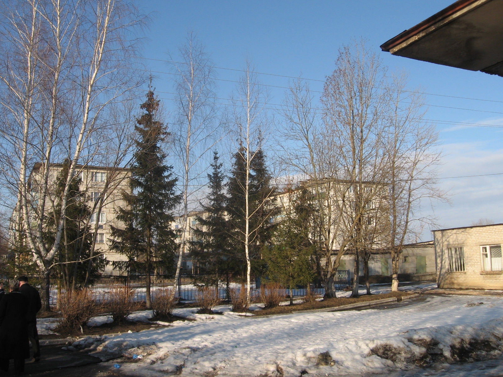 Lesnoy town (Ryazan region).