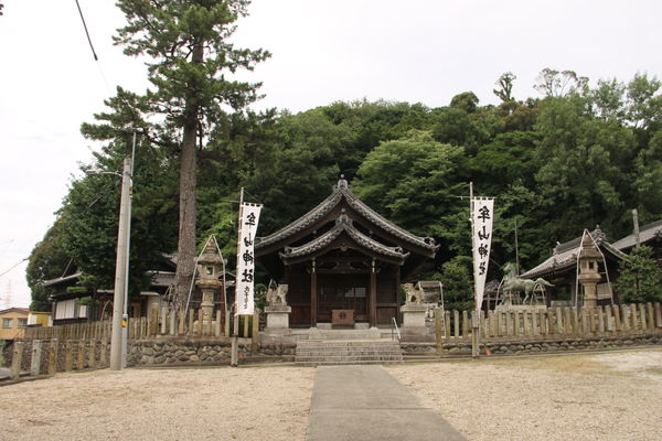 Musan