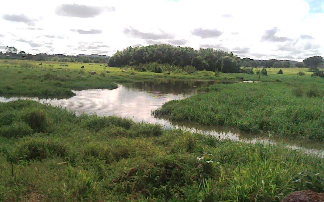 Imagen del río Yocoima en su cuenca alta, al Sur de Upata, en e…