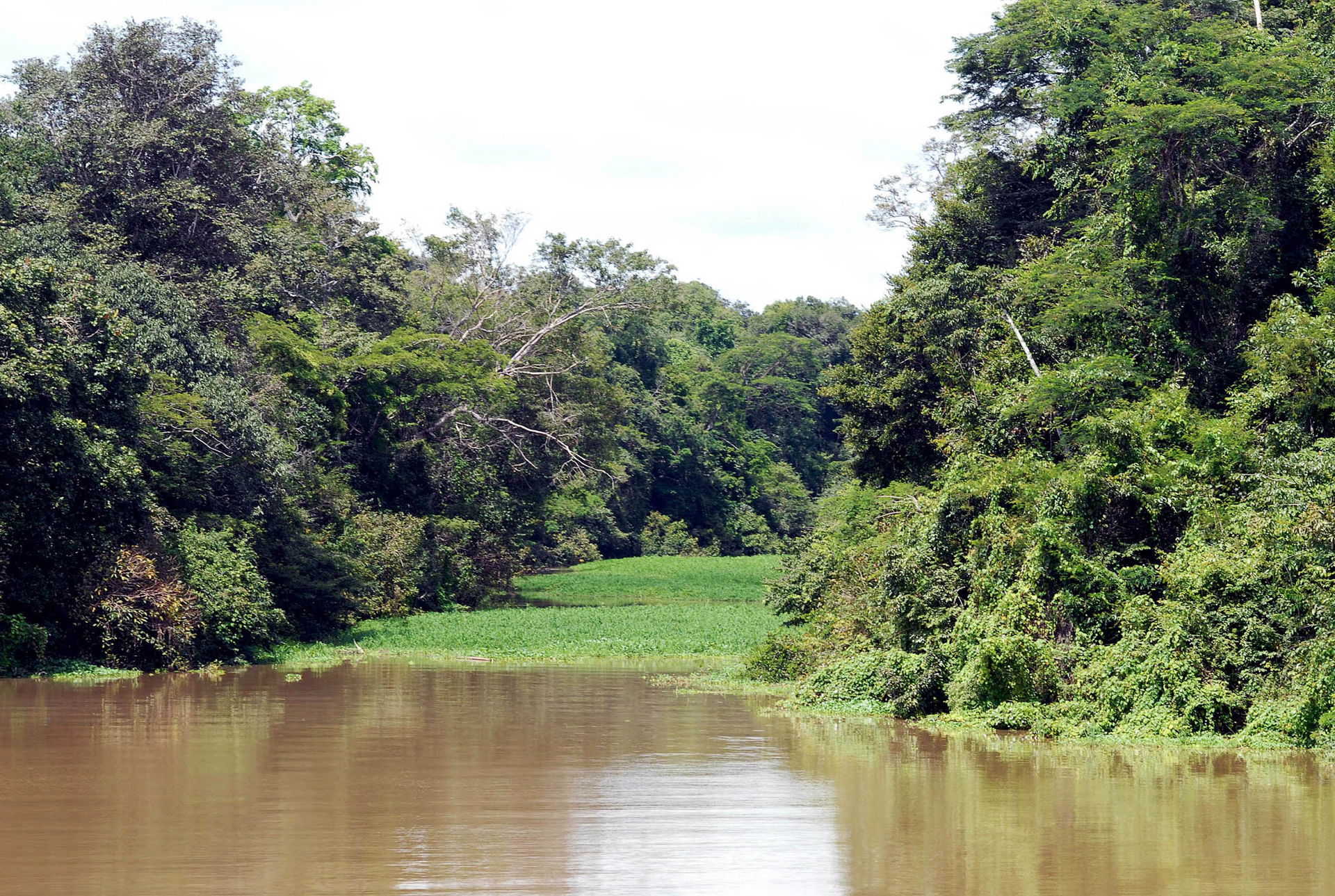 Tefé (AM) - View from the Reserve