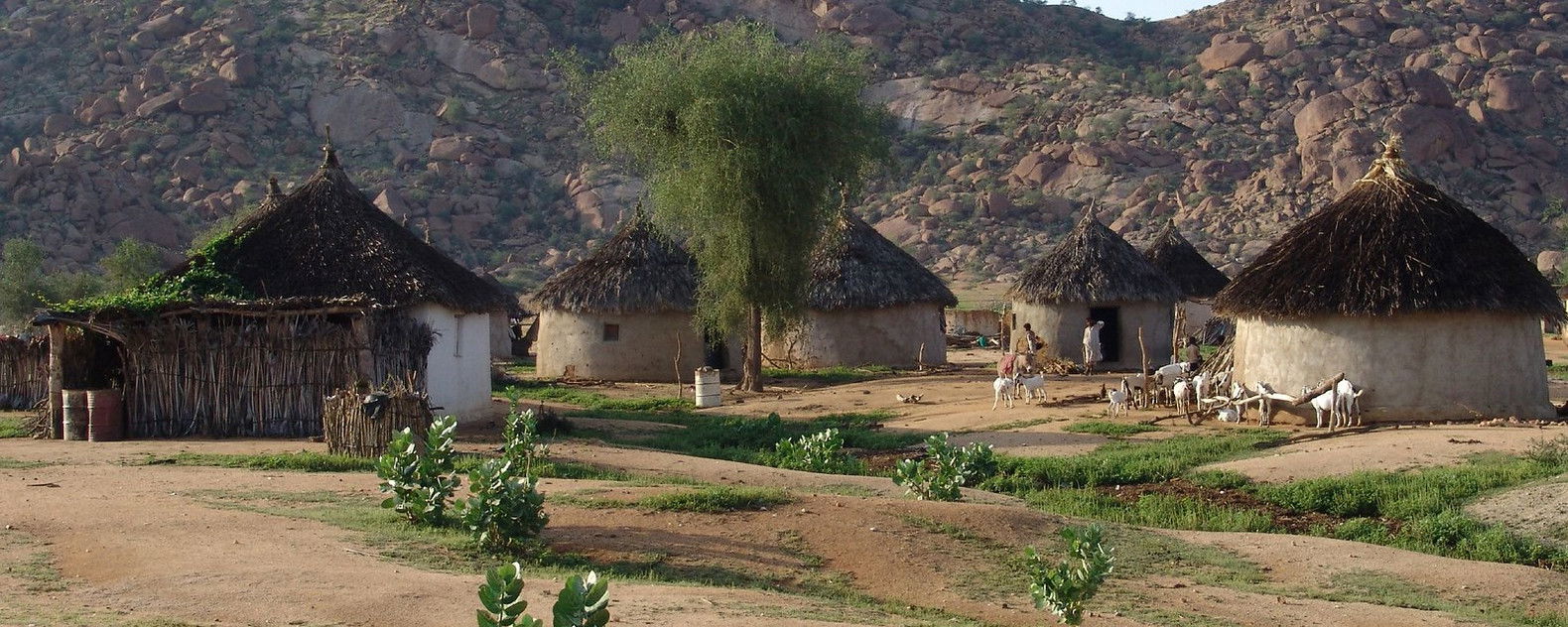en:Gash Barka, en:Eritrea. Image taken by Charles Fred on flic…
