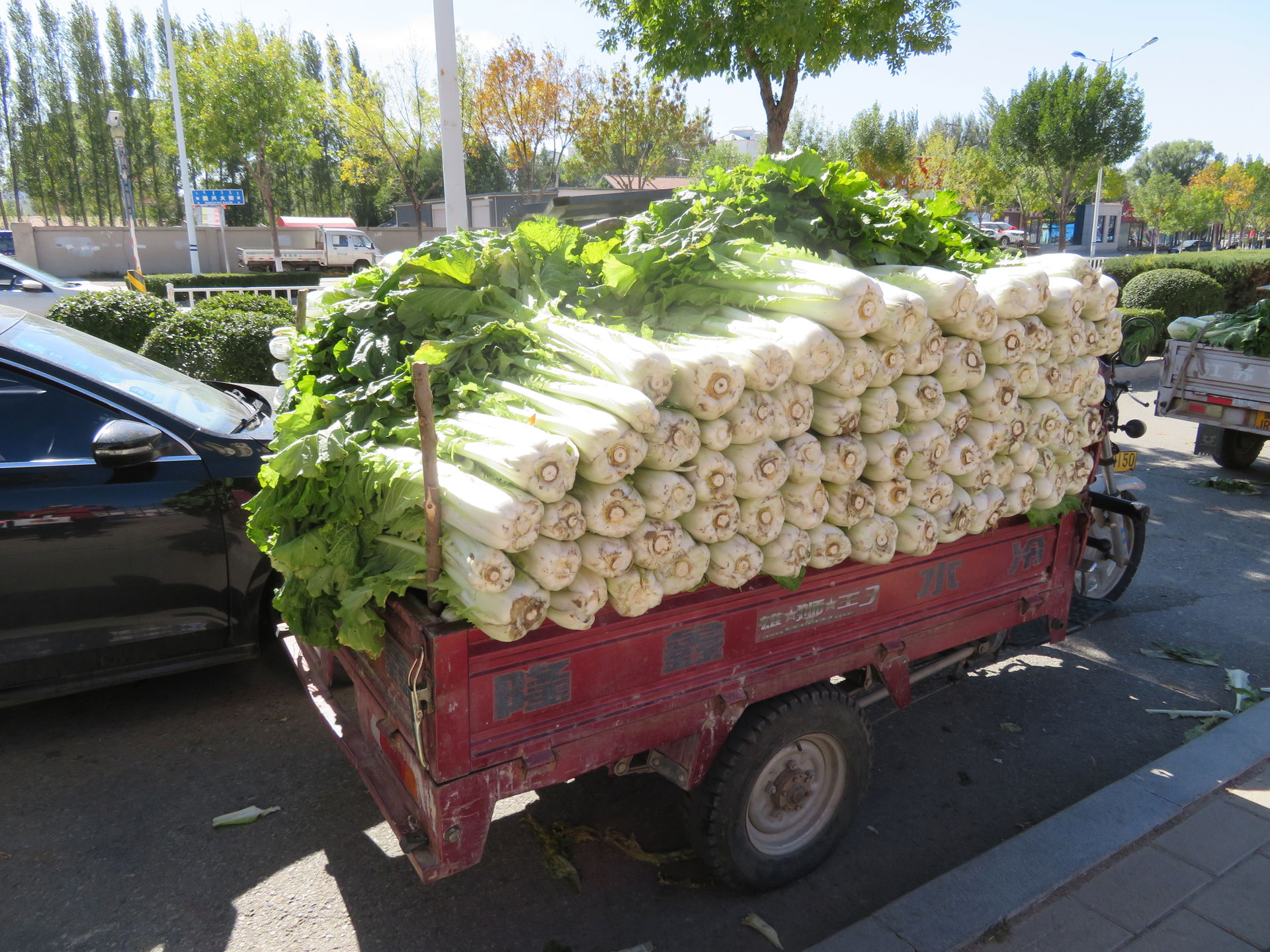 Truck of dabaicai in Lindong, Inner Mongolia.