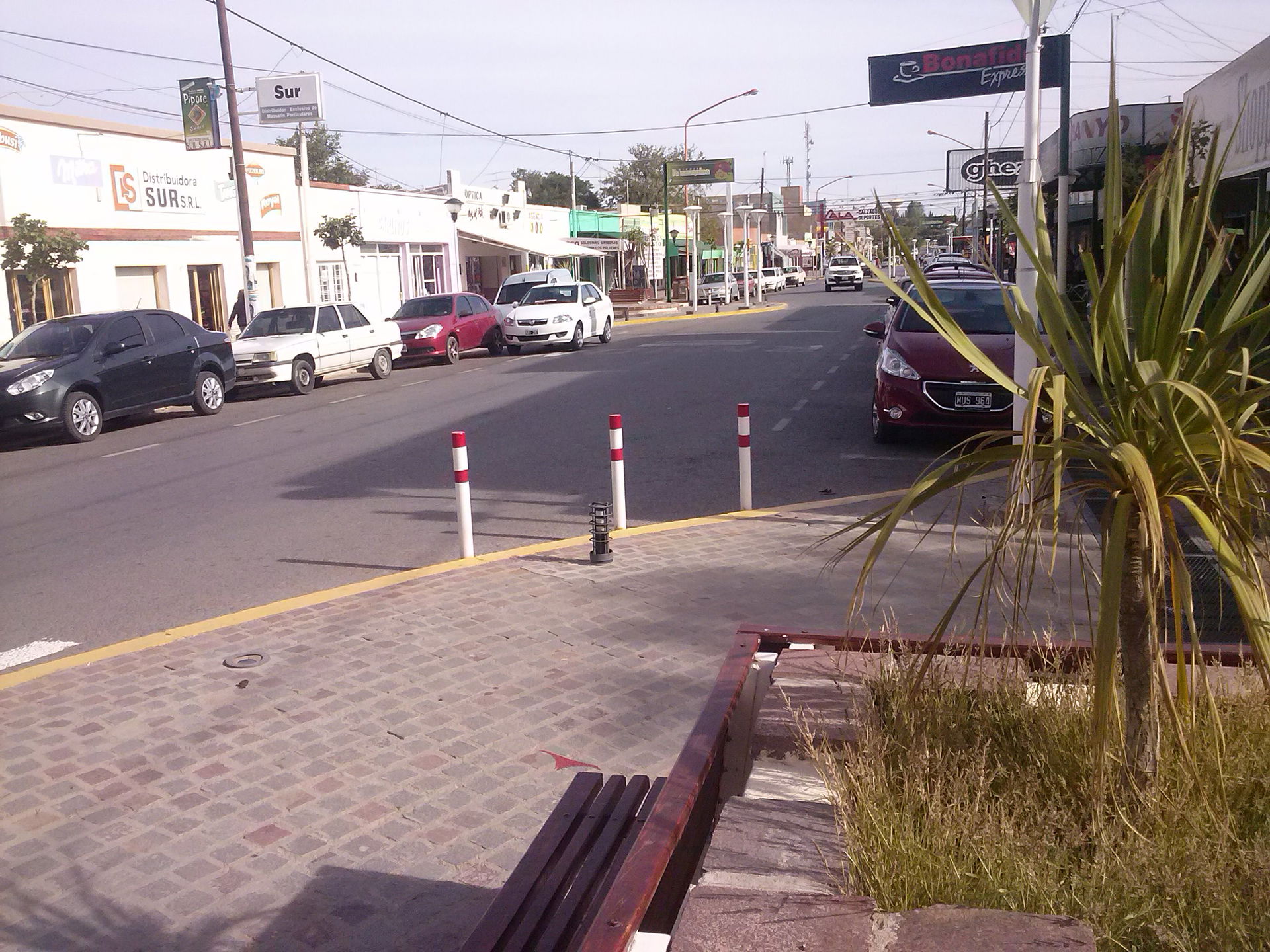 Vista del sector de paseo comercial de la calle Julio Argentino…