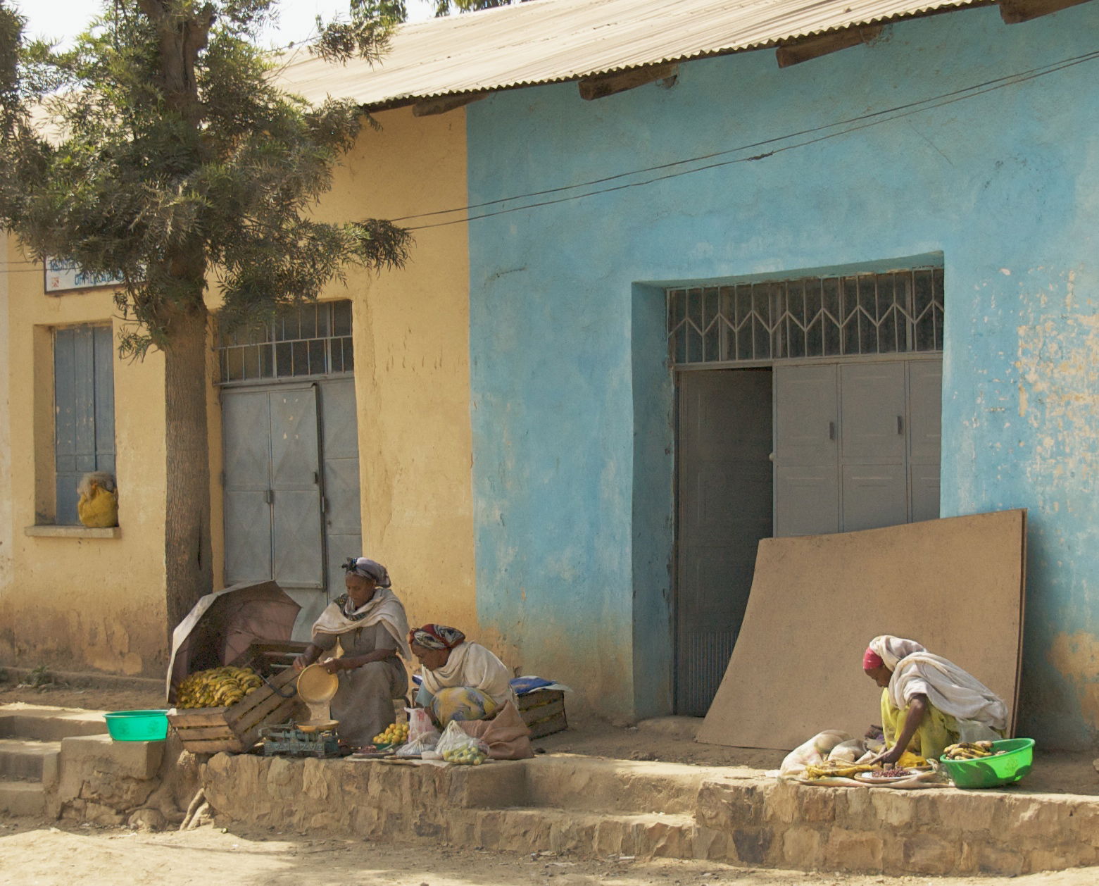 Fruit vendors setting up shop for the day in Adwa, Tigray Regio…
