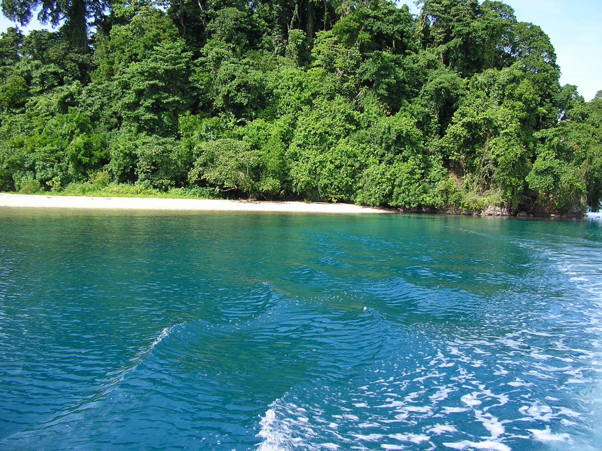 Restorf Island, Kimbe, Papua New Guinea.