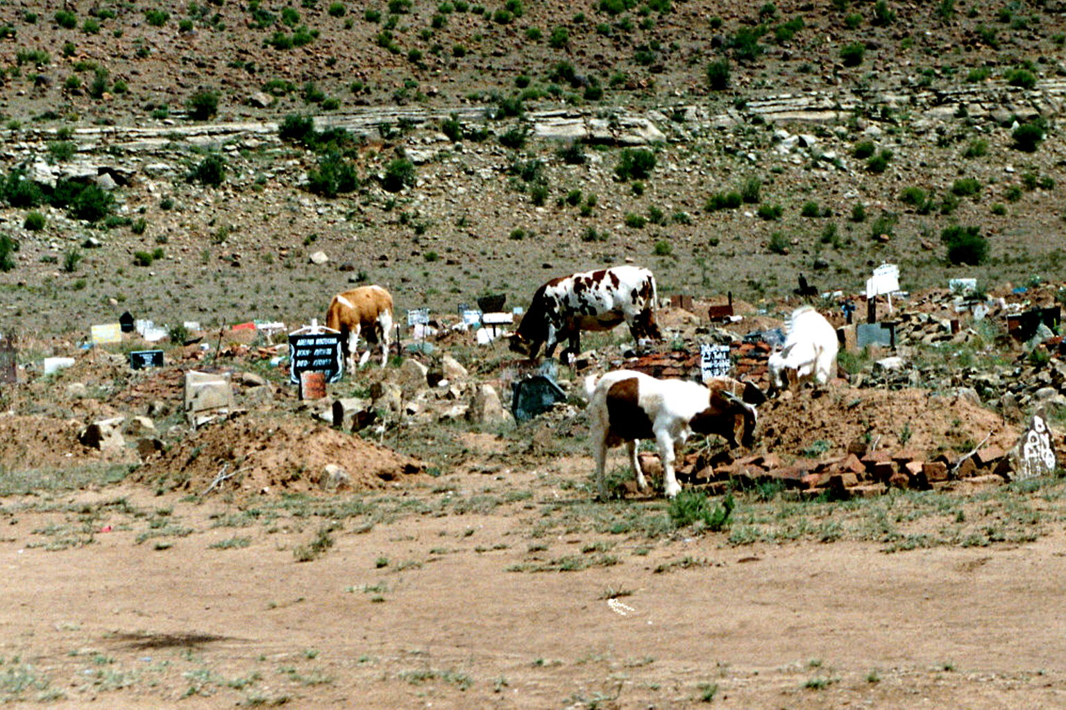 Friedhof am Rande des ehemaligen Township Dukatole (Maletswai, …