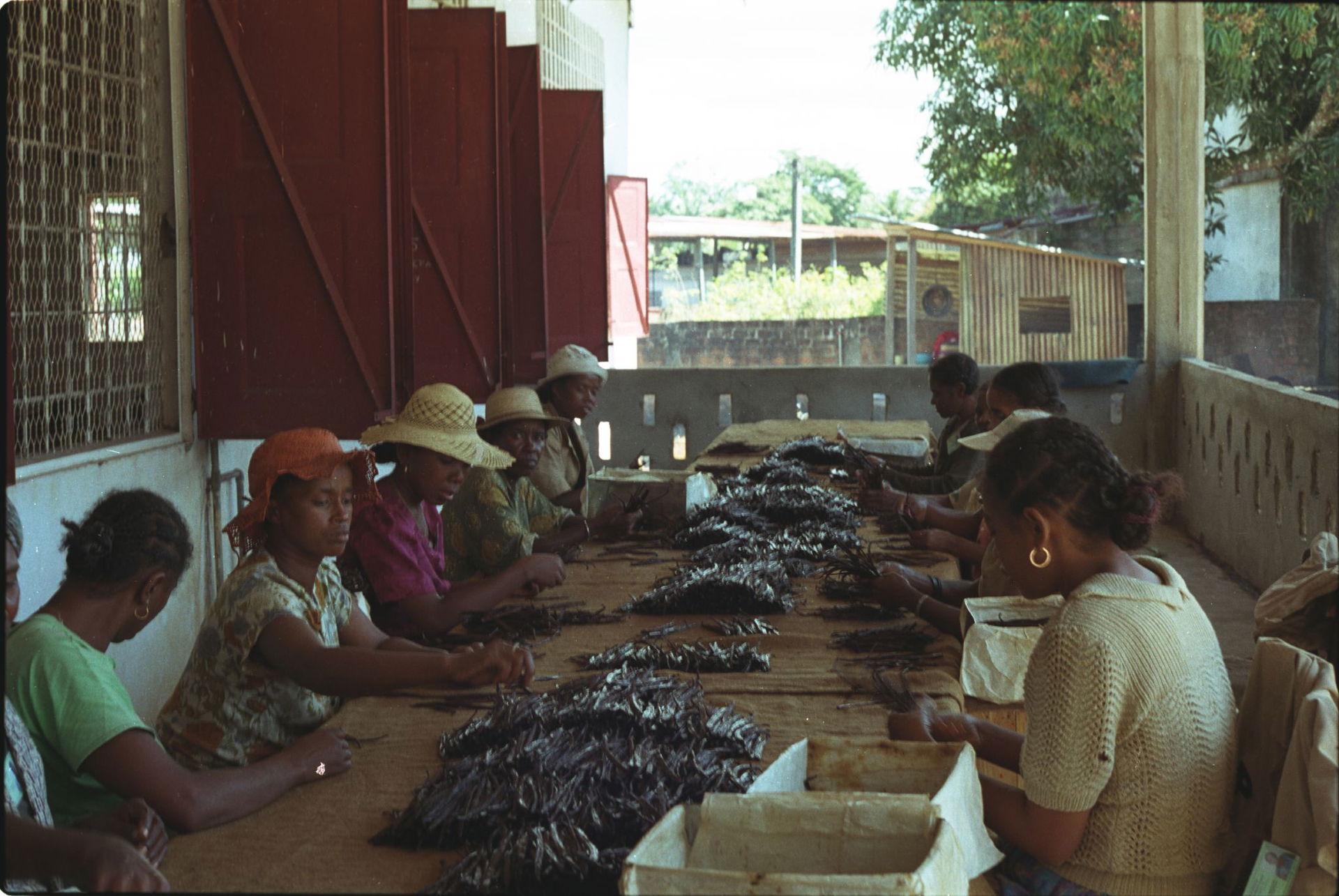 Photo by Jonathan Talbot, World Resources Institute. 2001. Vani…