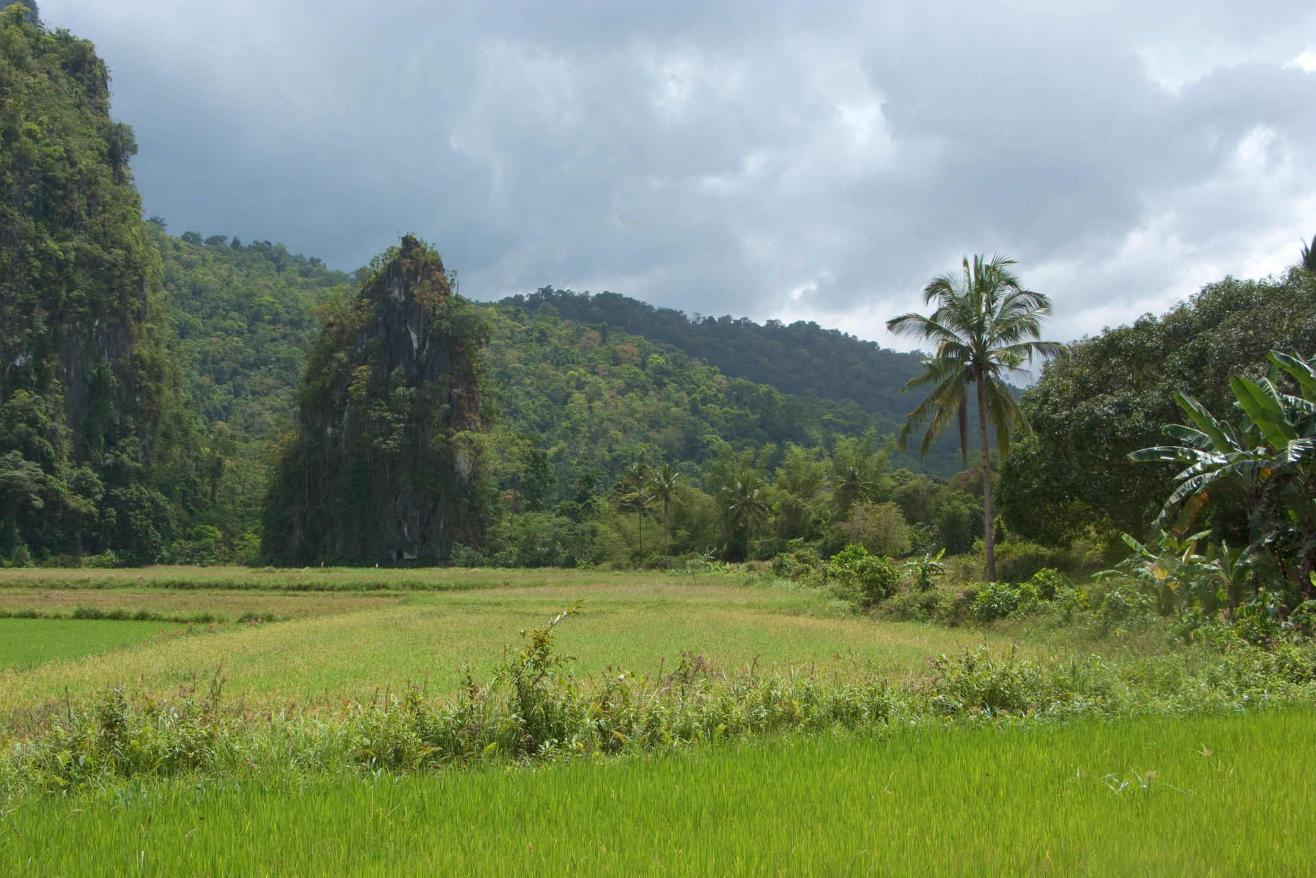 The Puerto Princesa Subterranean Park is a protected area of wo…