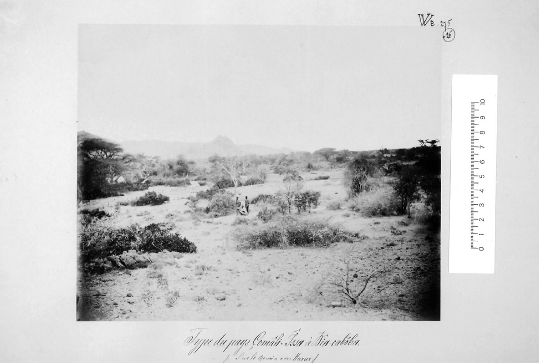 Issa Somalis near Harar 1885