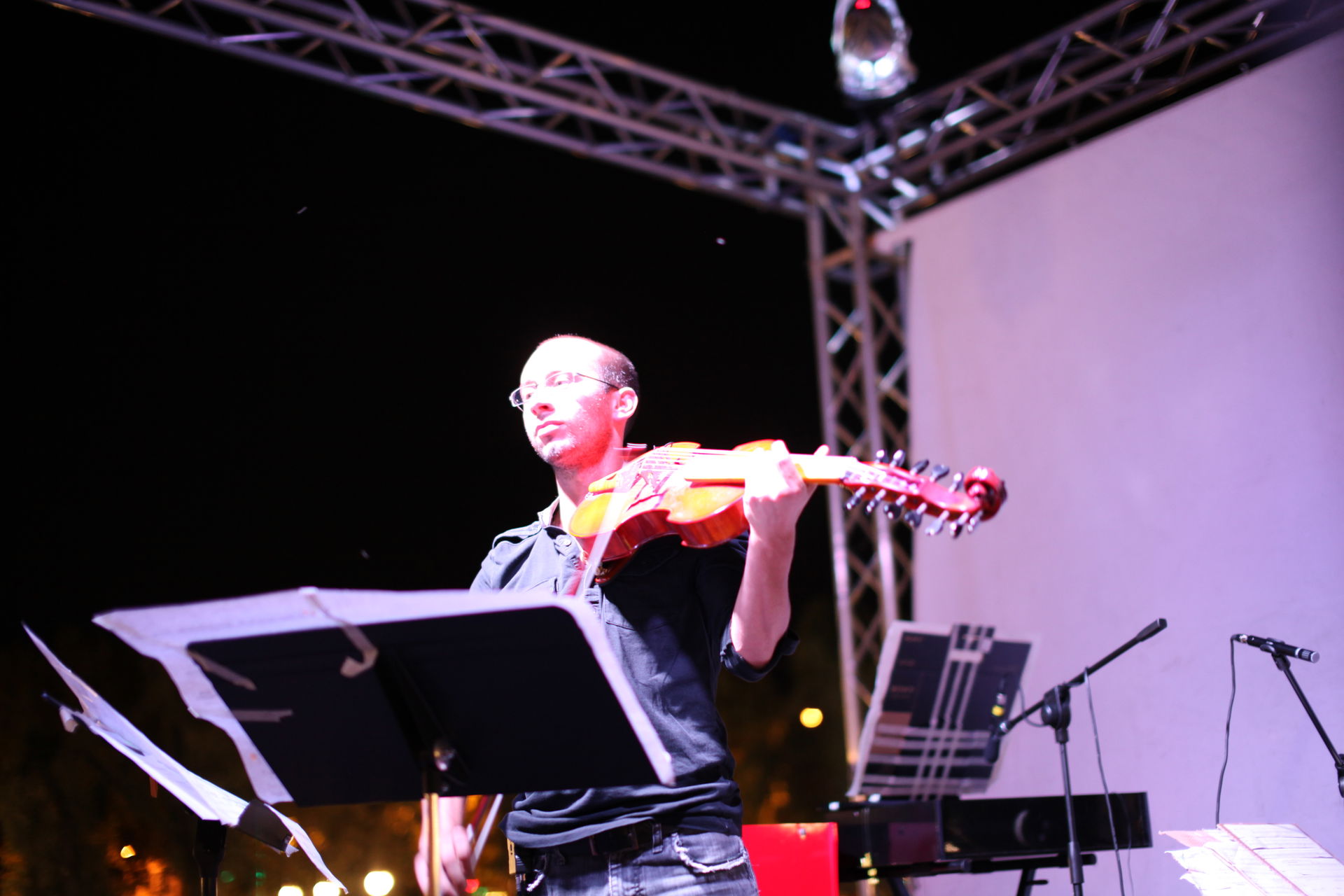 Marco Fusi playing viola d'amore in Florence 2016 pic by Veera …