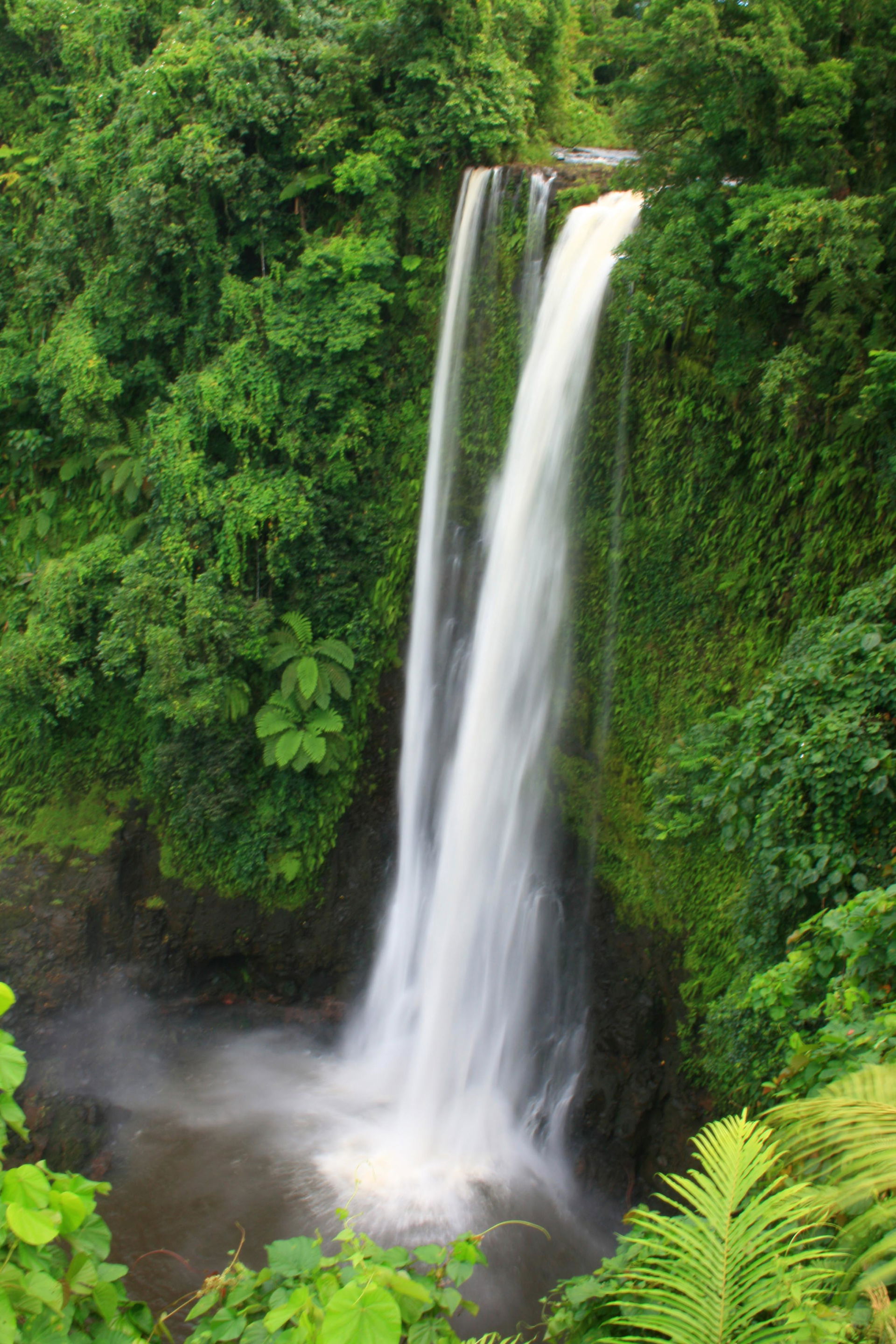 Fuipisia waterfall on Upolu island in Samoa.
