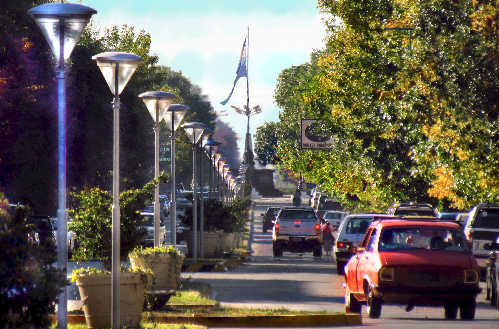 Avenida Vedia, Nueve de Julio