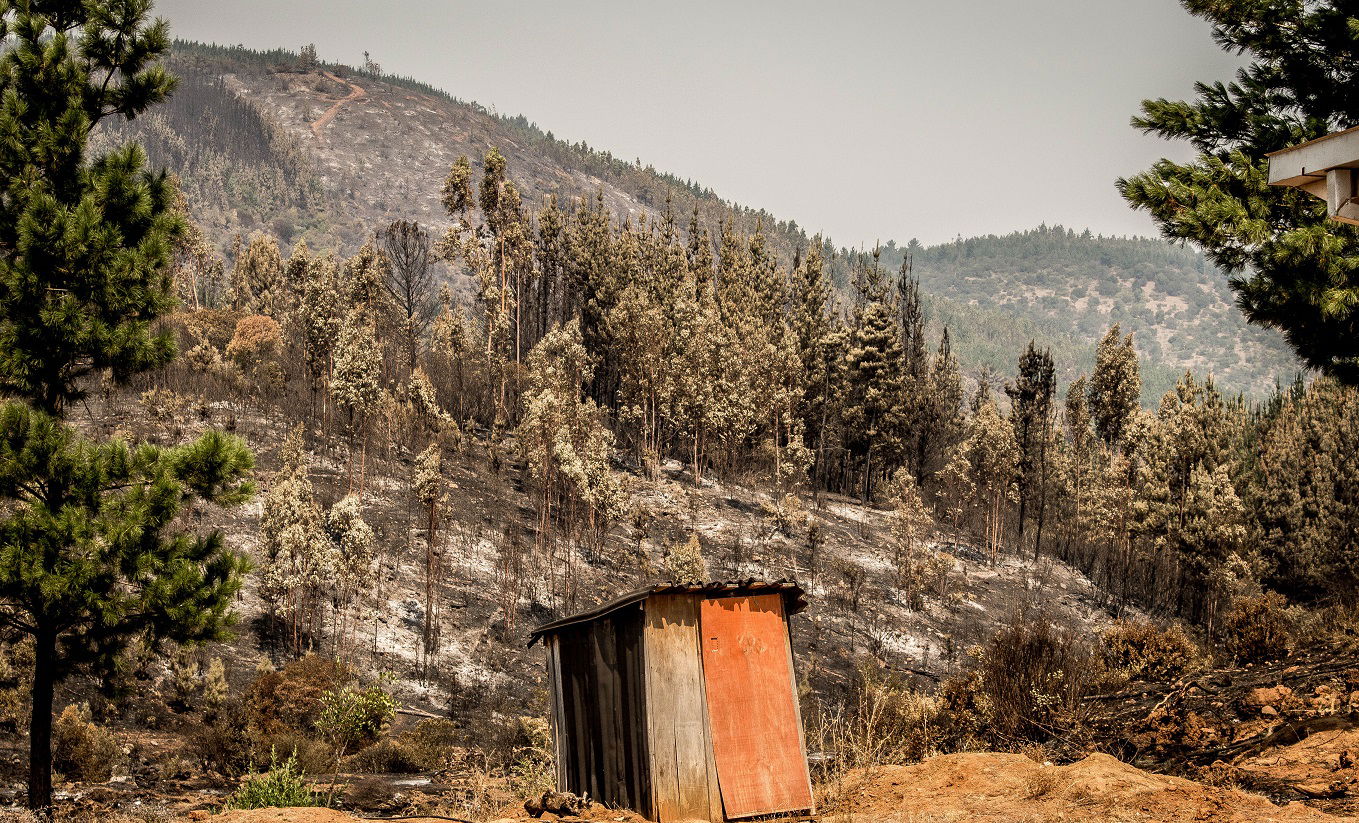 Incendios 2017 Cauquenes Cerros