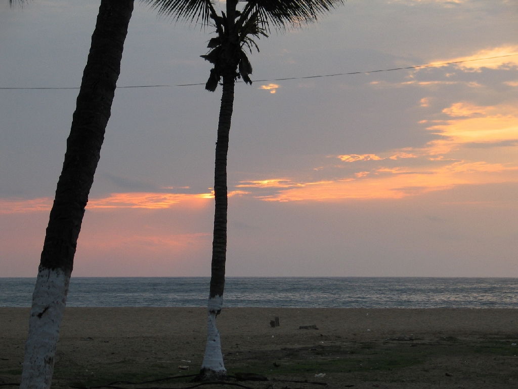 Palmen am Strand bei Sumbe, Angola