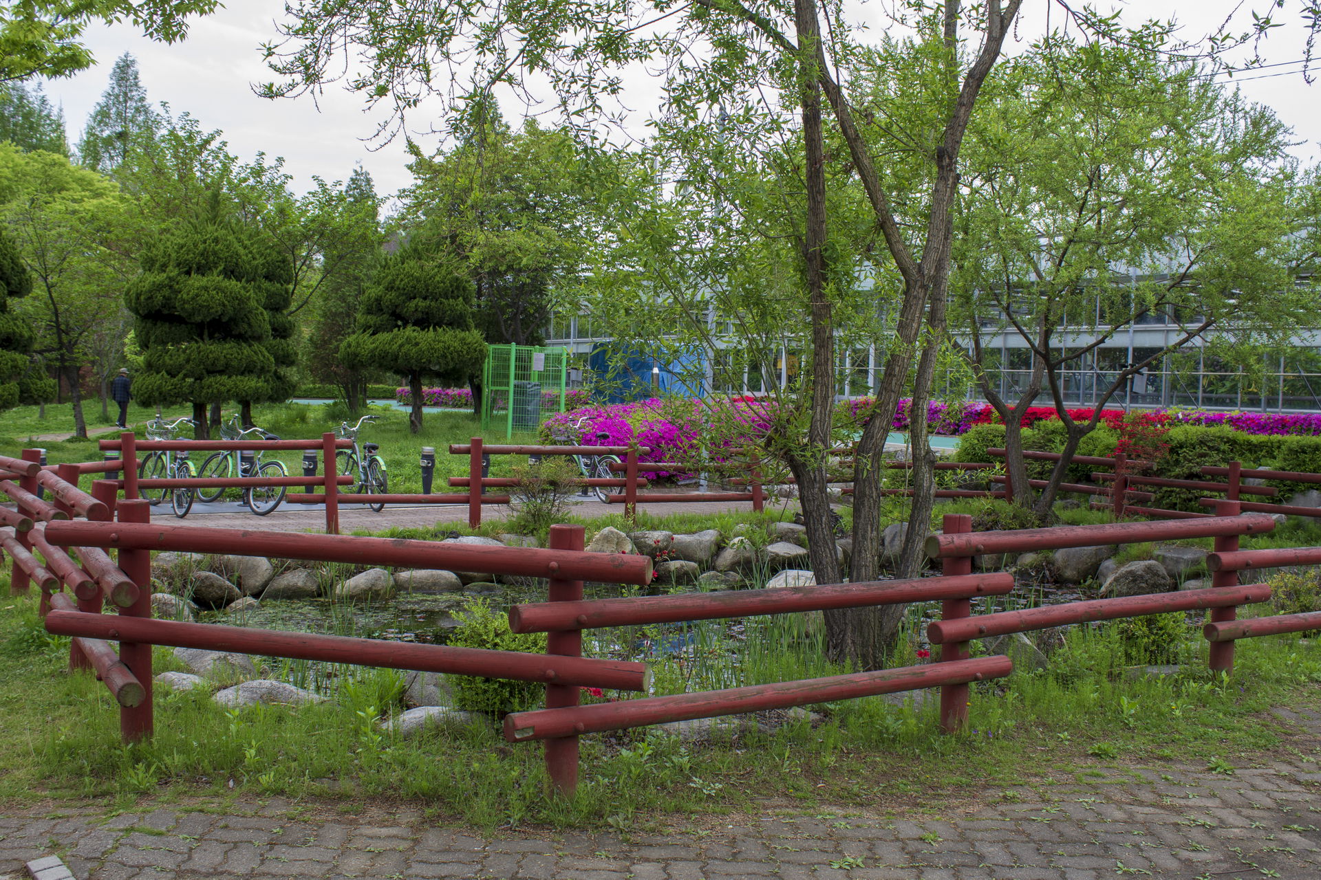 Ansan Botanical Garden in 2019