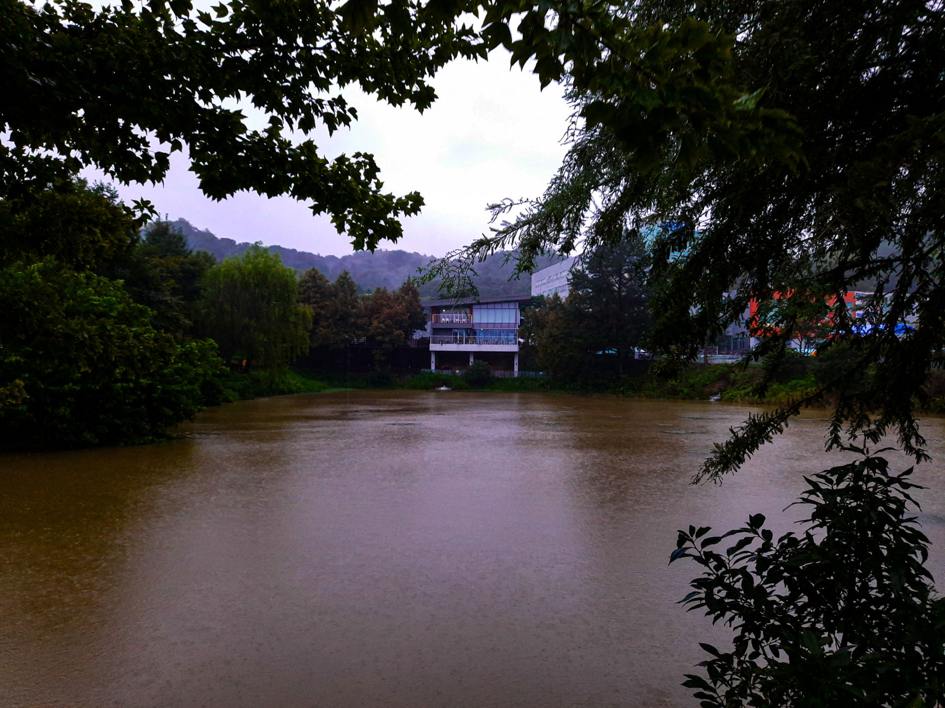 Jeonju University Lake
Location: Jeonju University, South Korea