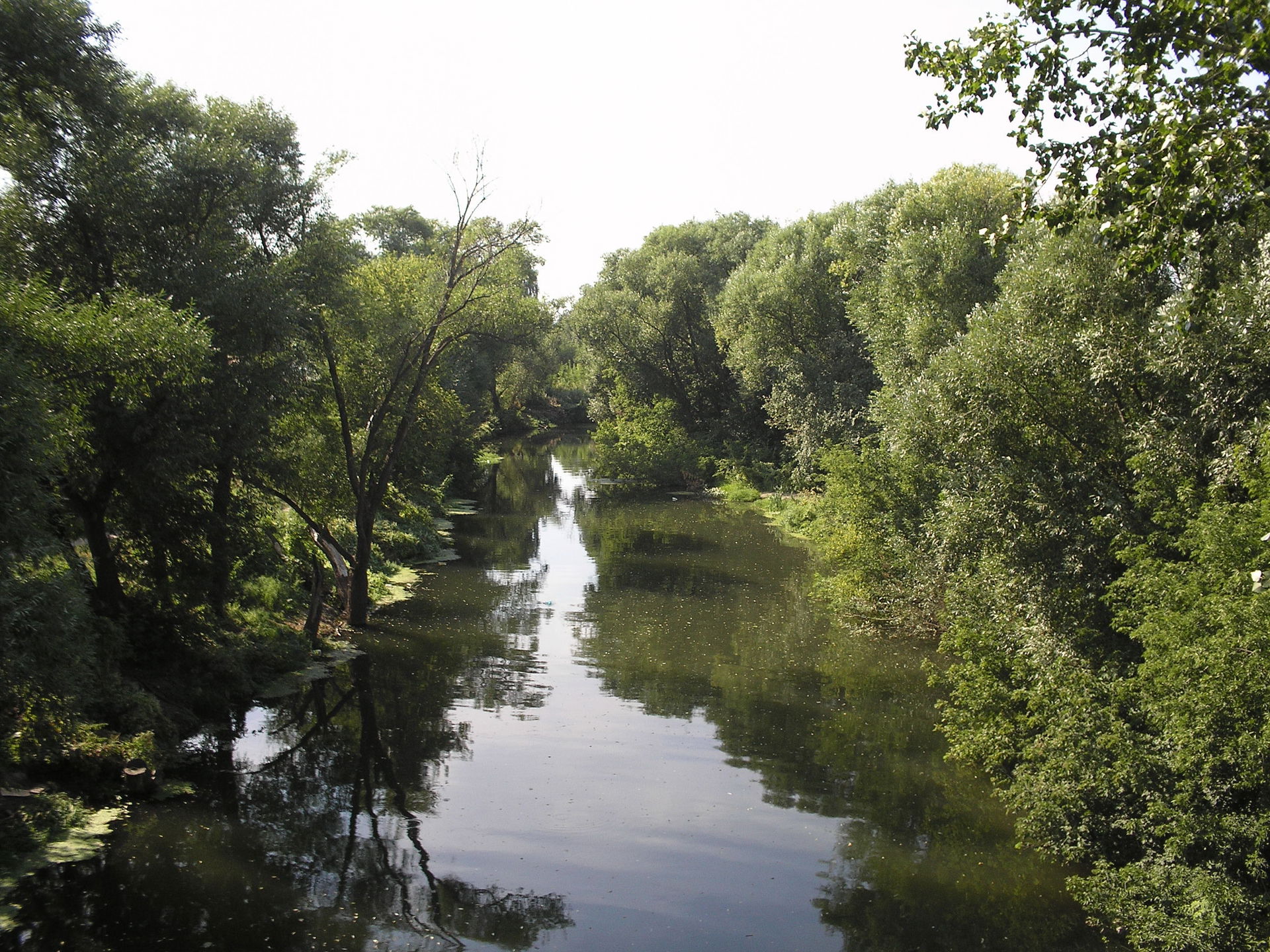 Der Fluss Medwediza (Atkarsk)