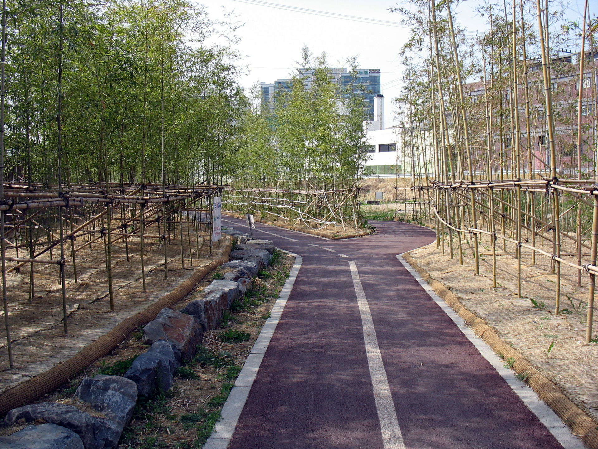 A path beside the Anyangcheon in Gunpo, South Korea