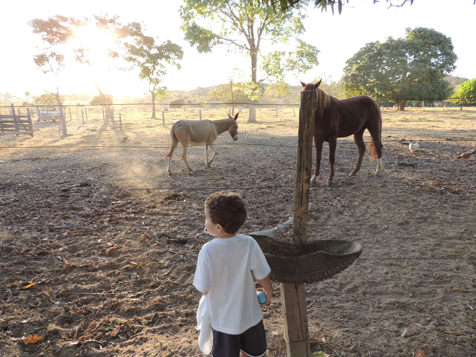 Tirada com uma sony Cyber Shot DSC-T70
