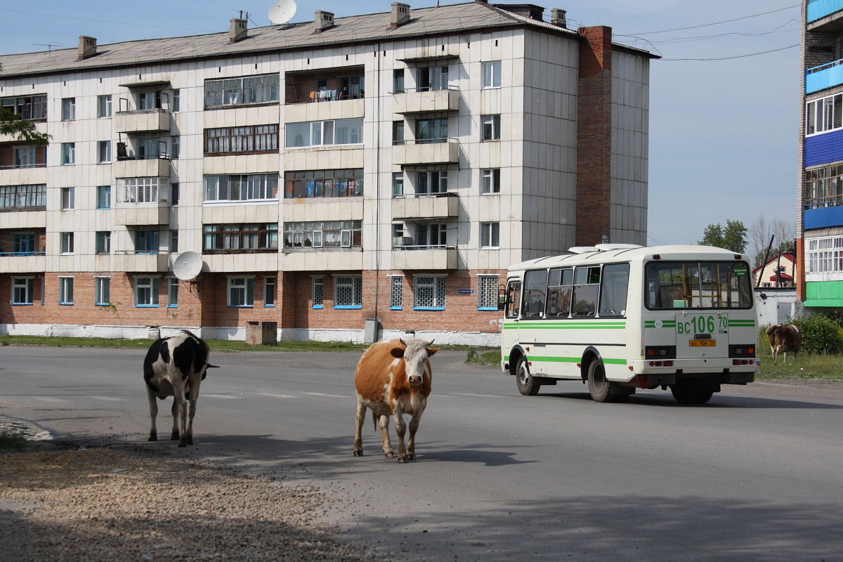 The city of Asino in Russia.