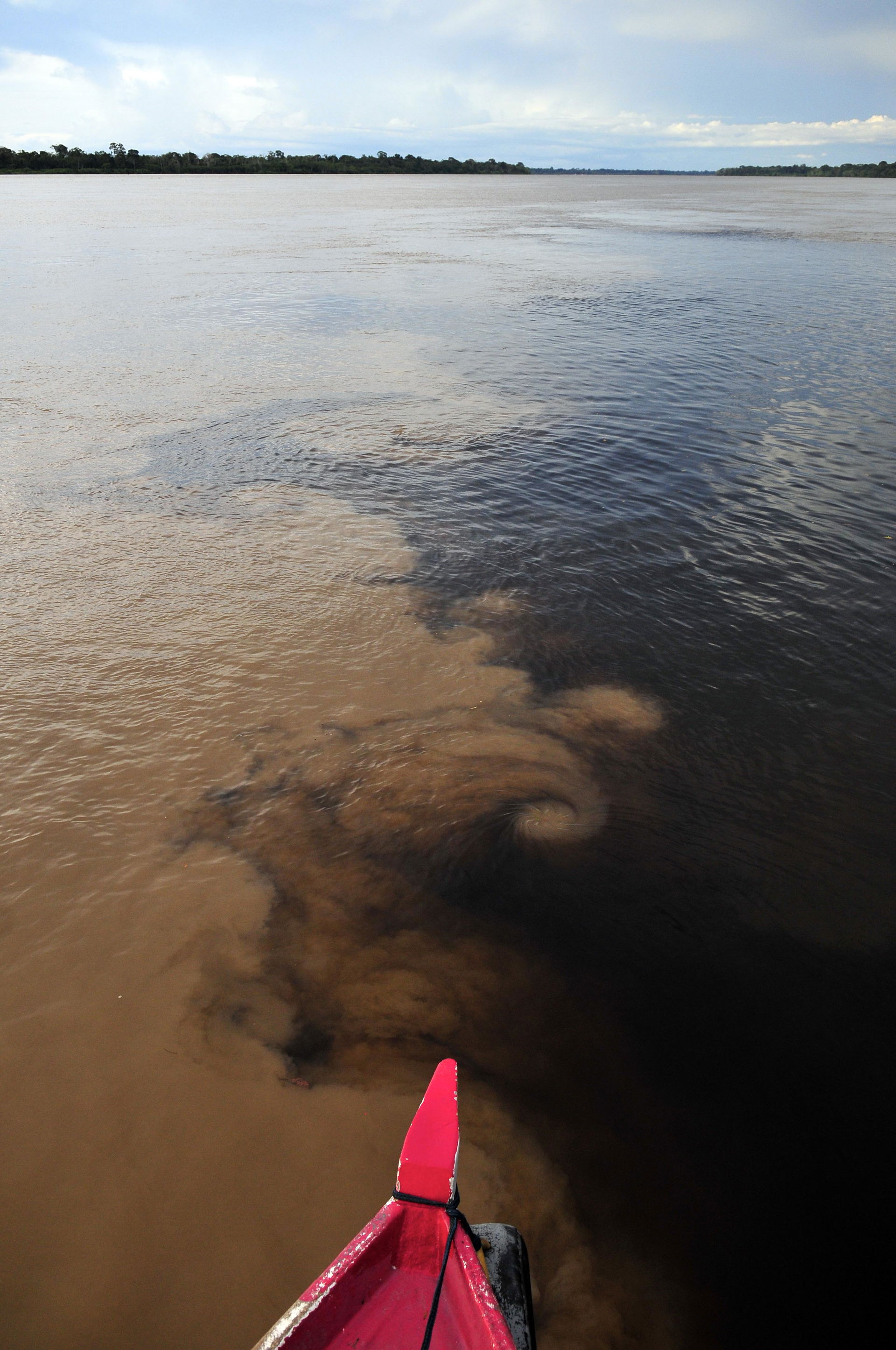 The confluence of the Madeira River (brown) and Aripuanã River …