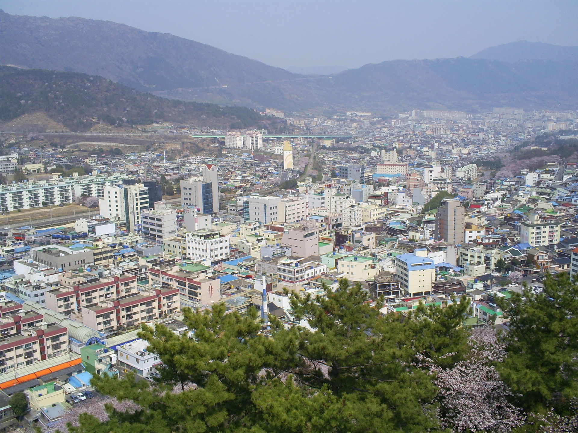 제황산공원 내 진해탑에서 내려다 본 진해시의 모습