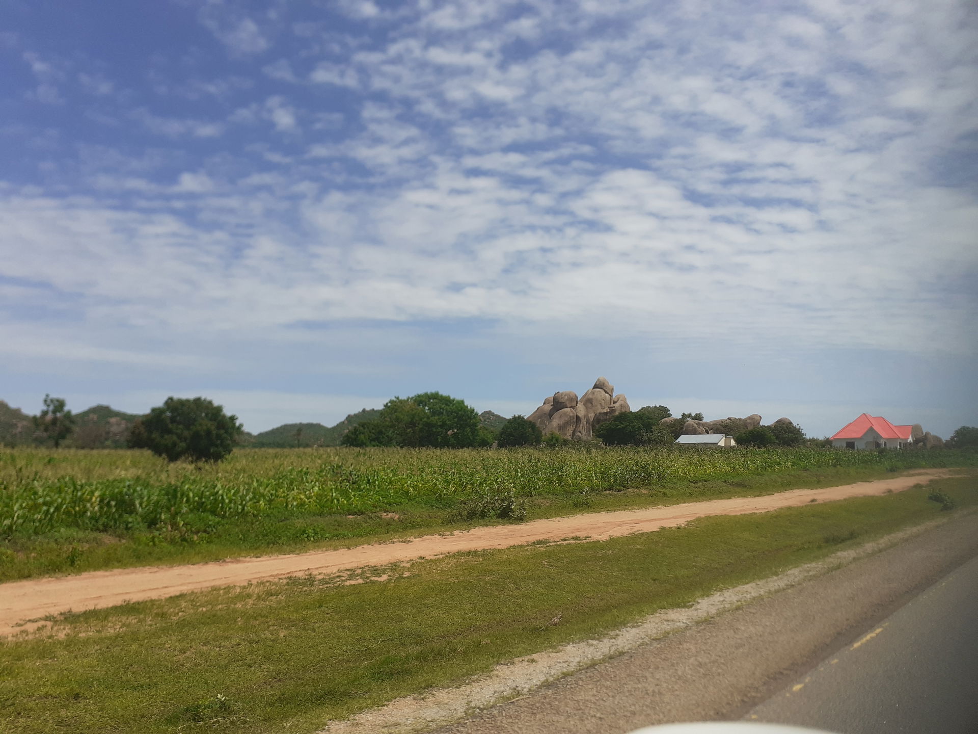 Maize field and rocks_Shinyanga region_B3_half way between Kaha…