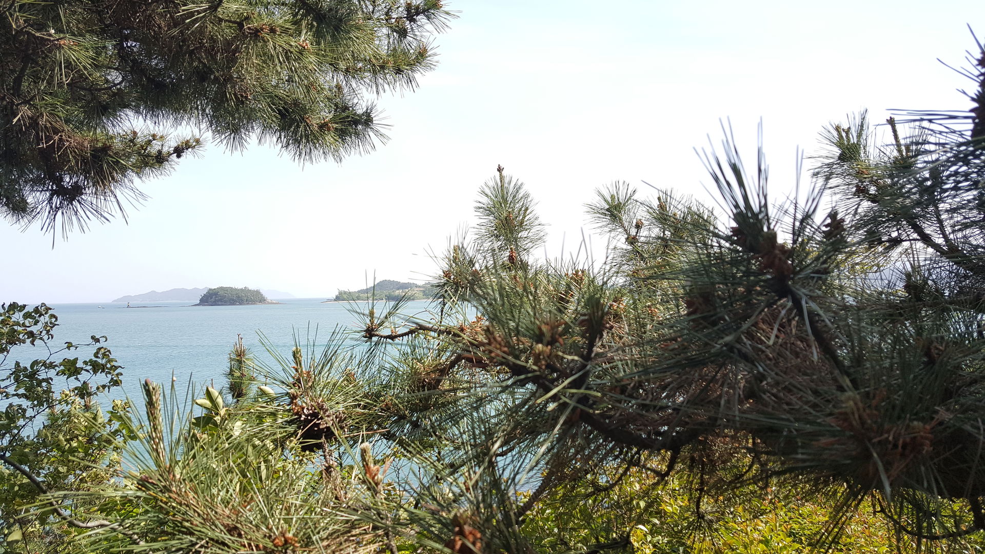 Nosan park. Great place