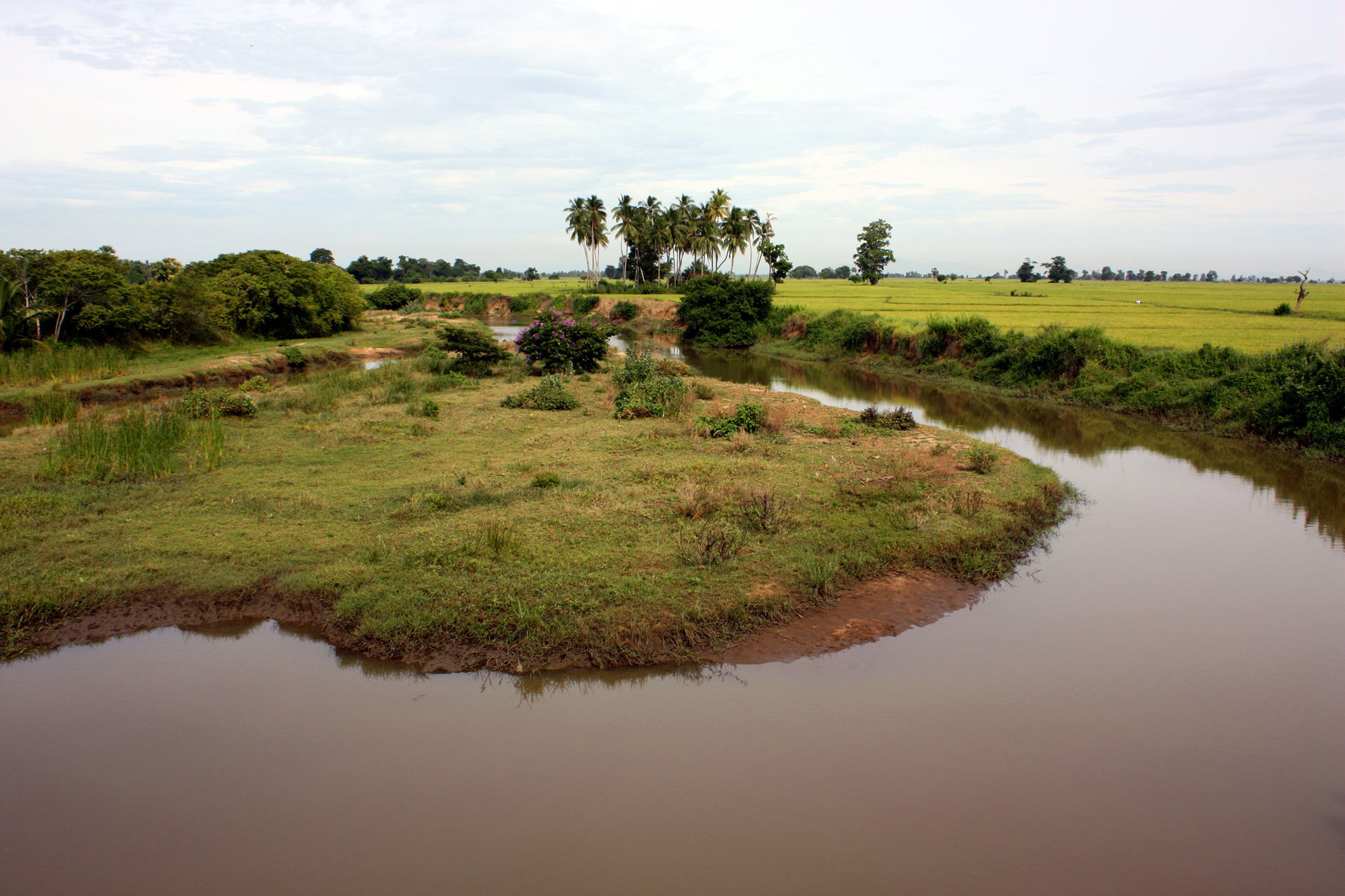 Oluvil - paddy field seen Oluvil bridge, near Southeastern Univ…